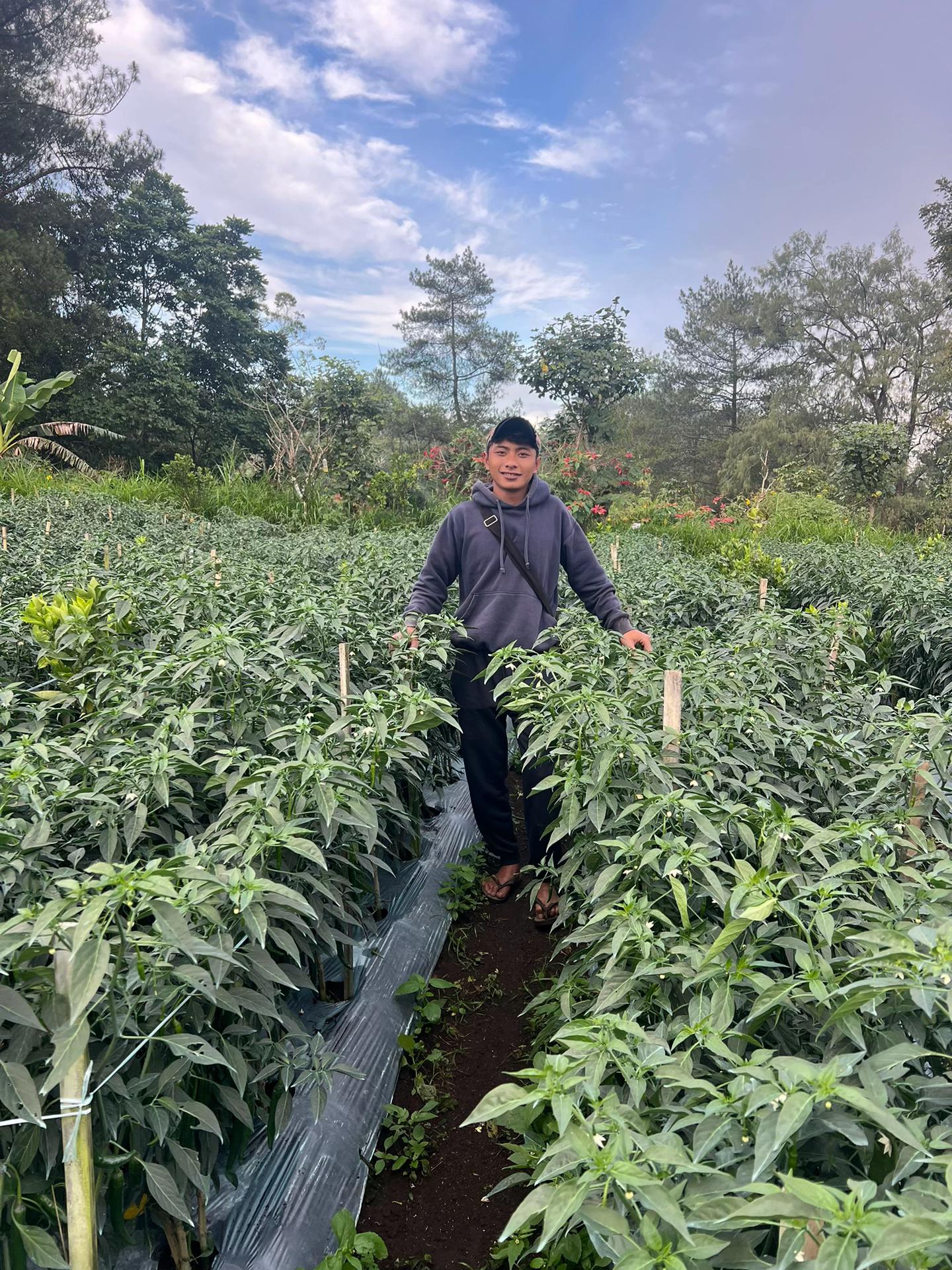 @Anakpetani🍊