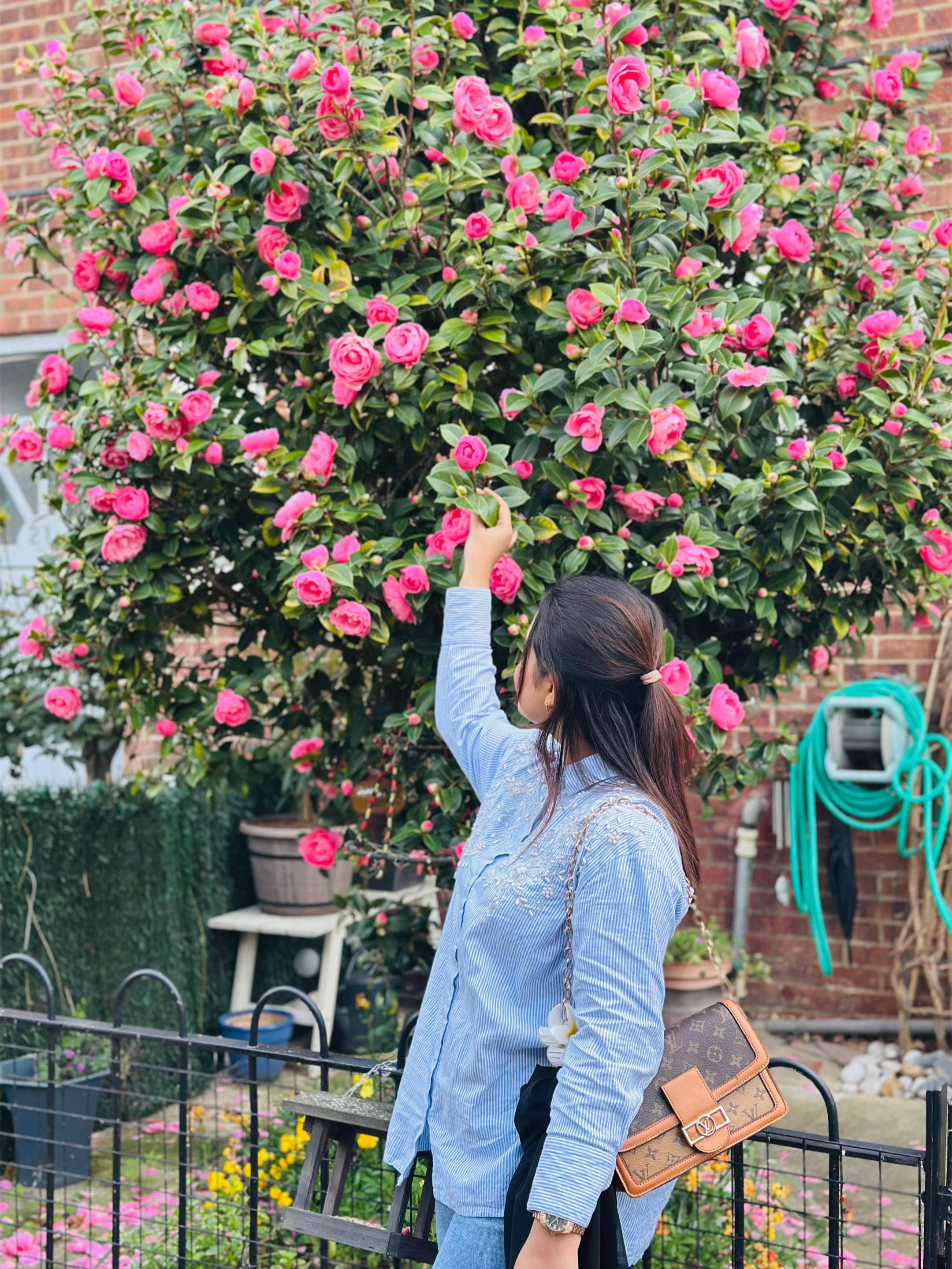 @Jannatun Naim 🇧🇩🇬🇧