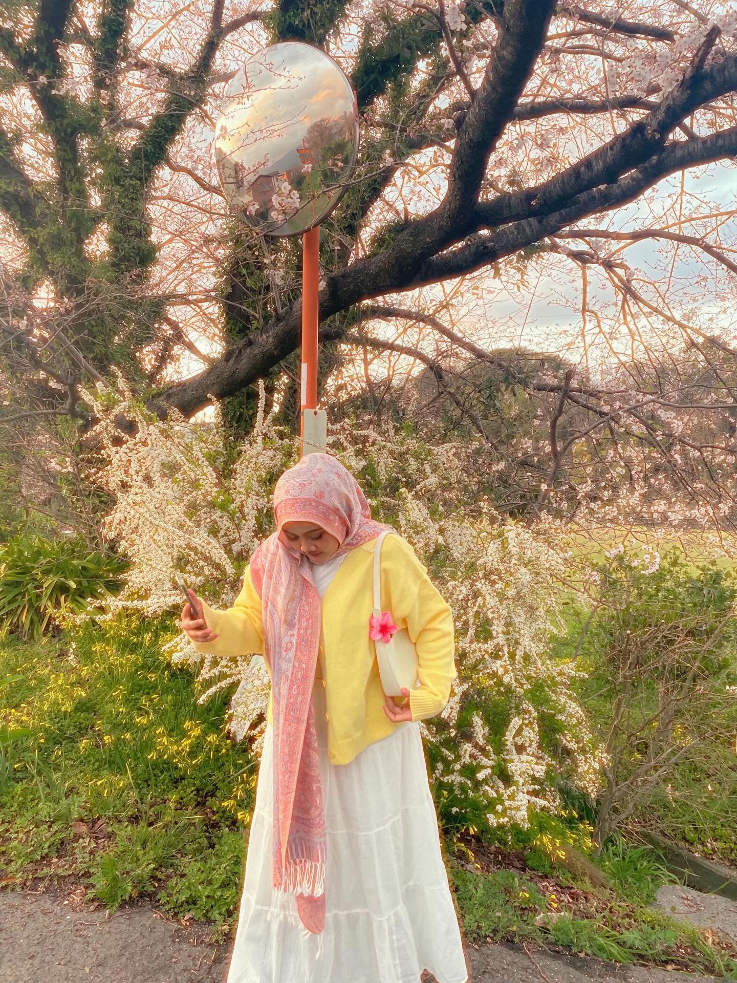 @Dinda de gozaru ?