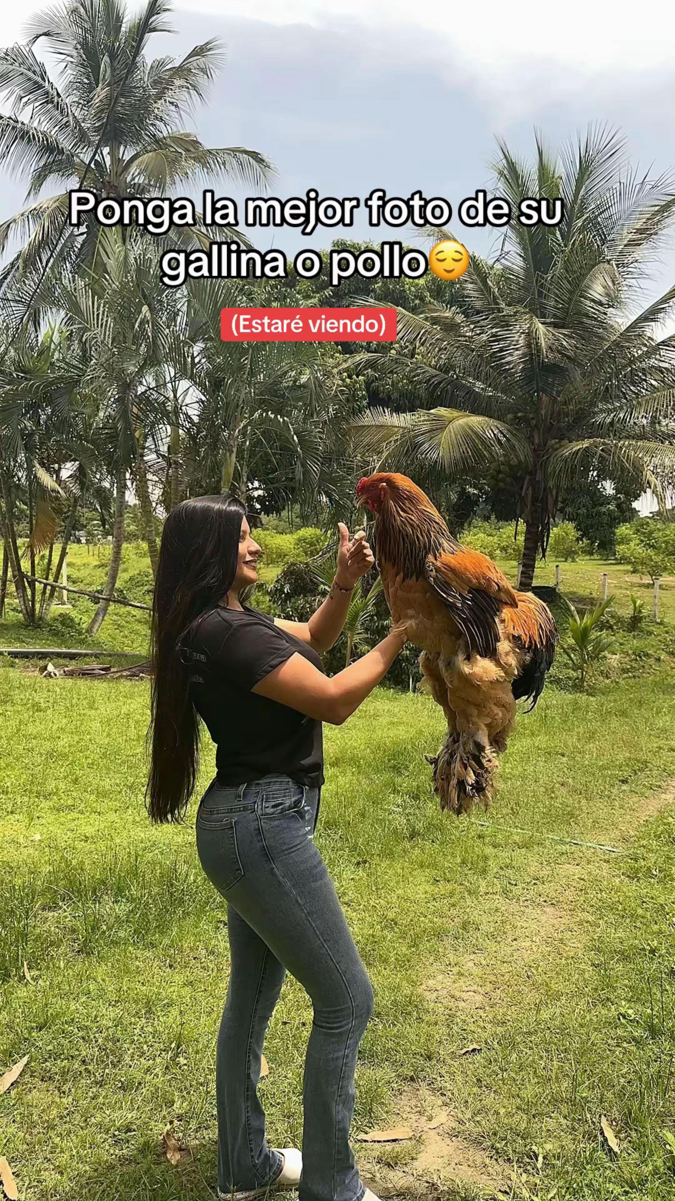 @Granjamascotalandiayaracuy
