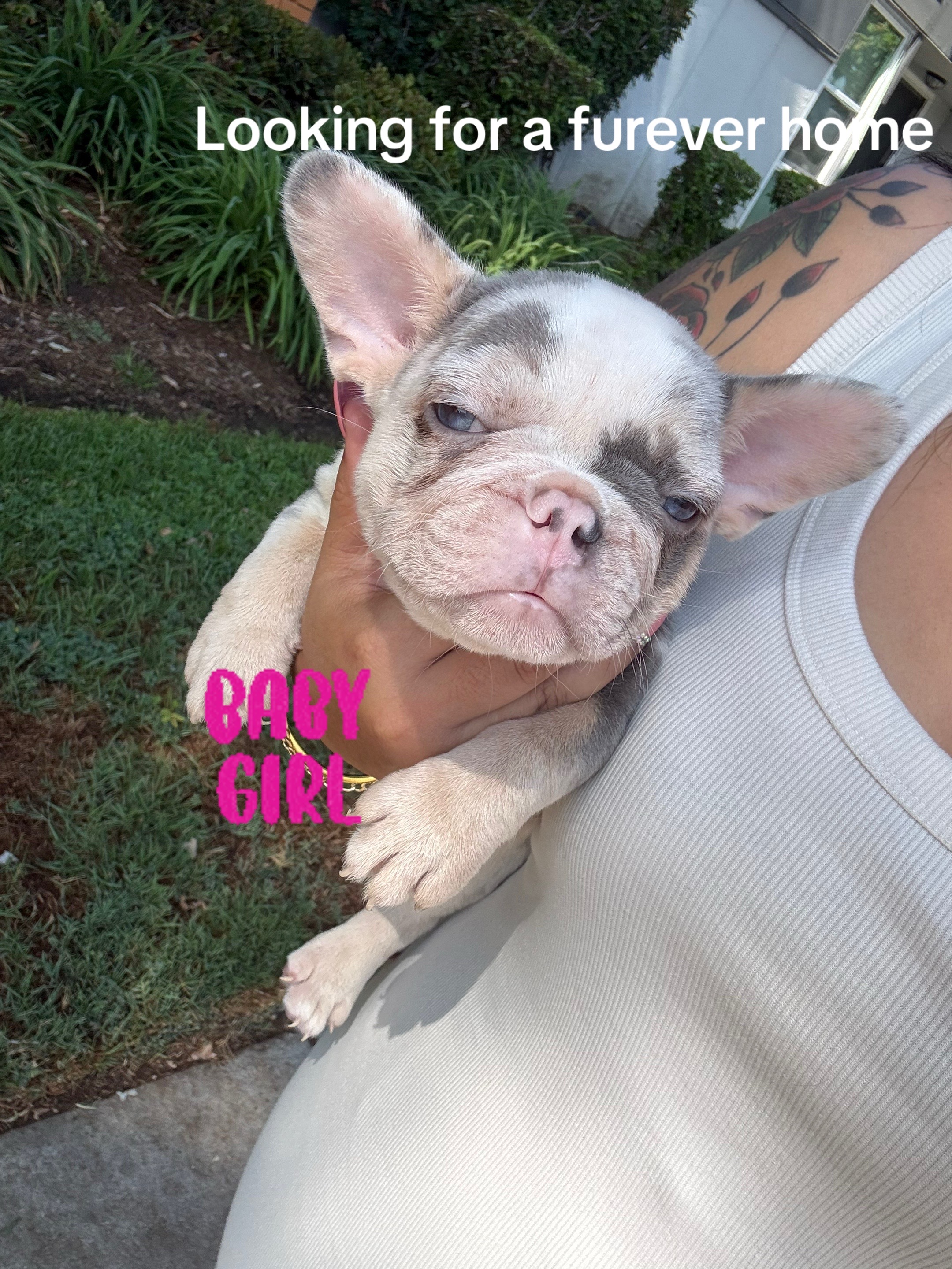 @Natalie Padilla