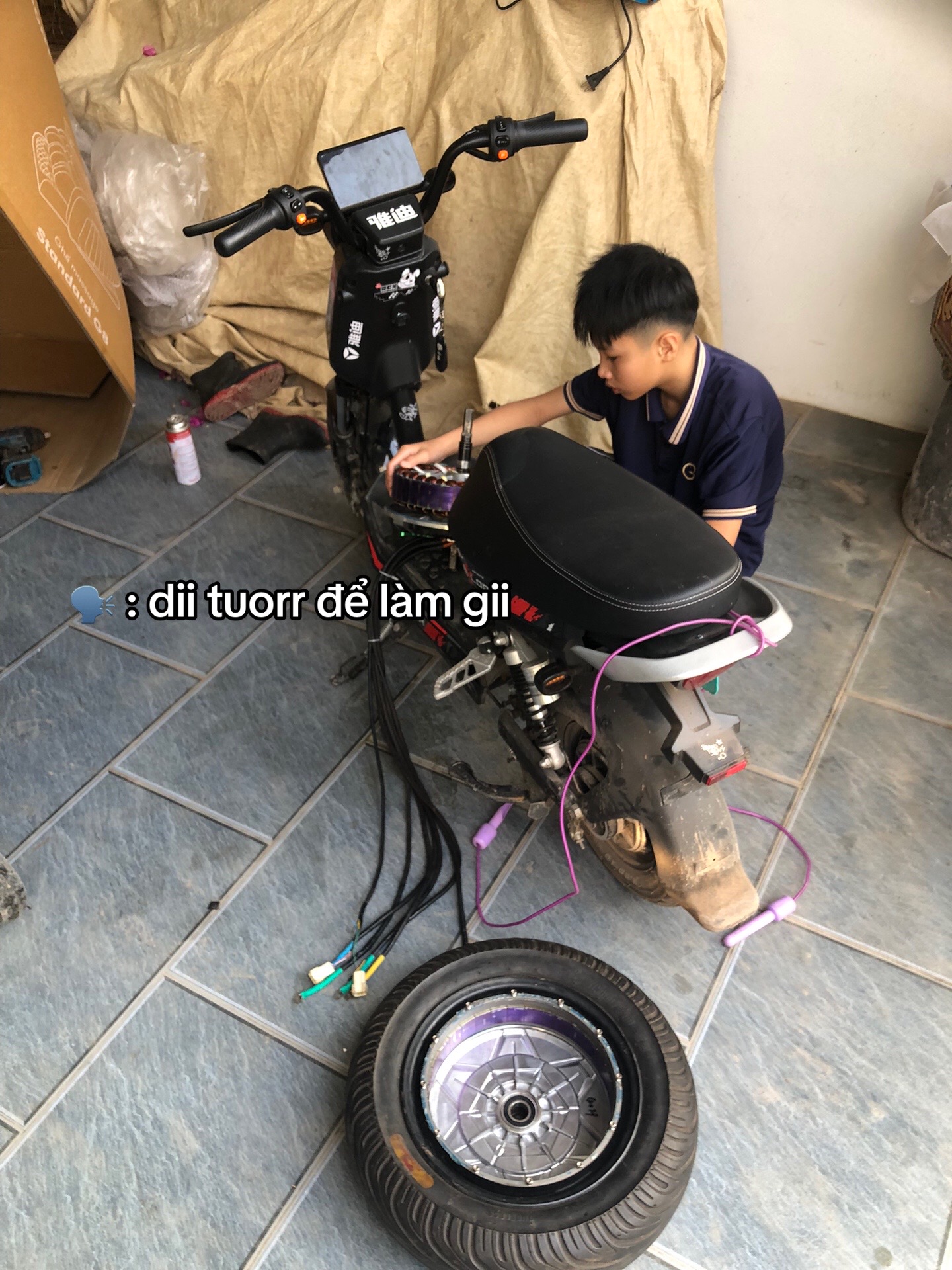@𝑪𝒖 𝑩𝒊𝒏𝒏 ~ 𝒉𝒊𝒉𝒊✿