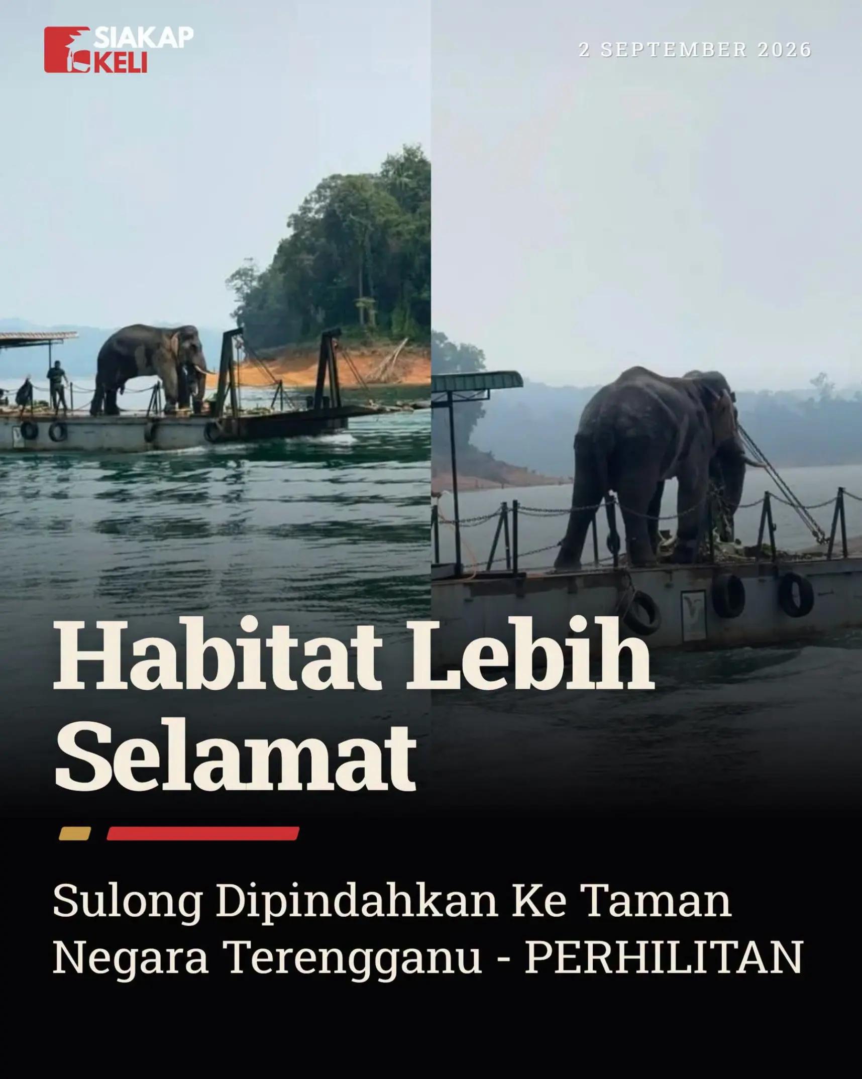 @RAWATAN TERAPI IMUN SEMULAJADI