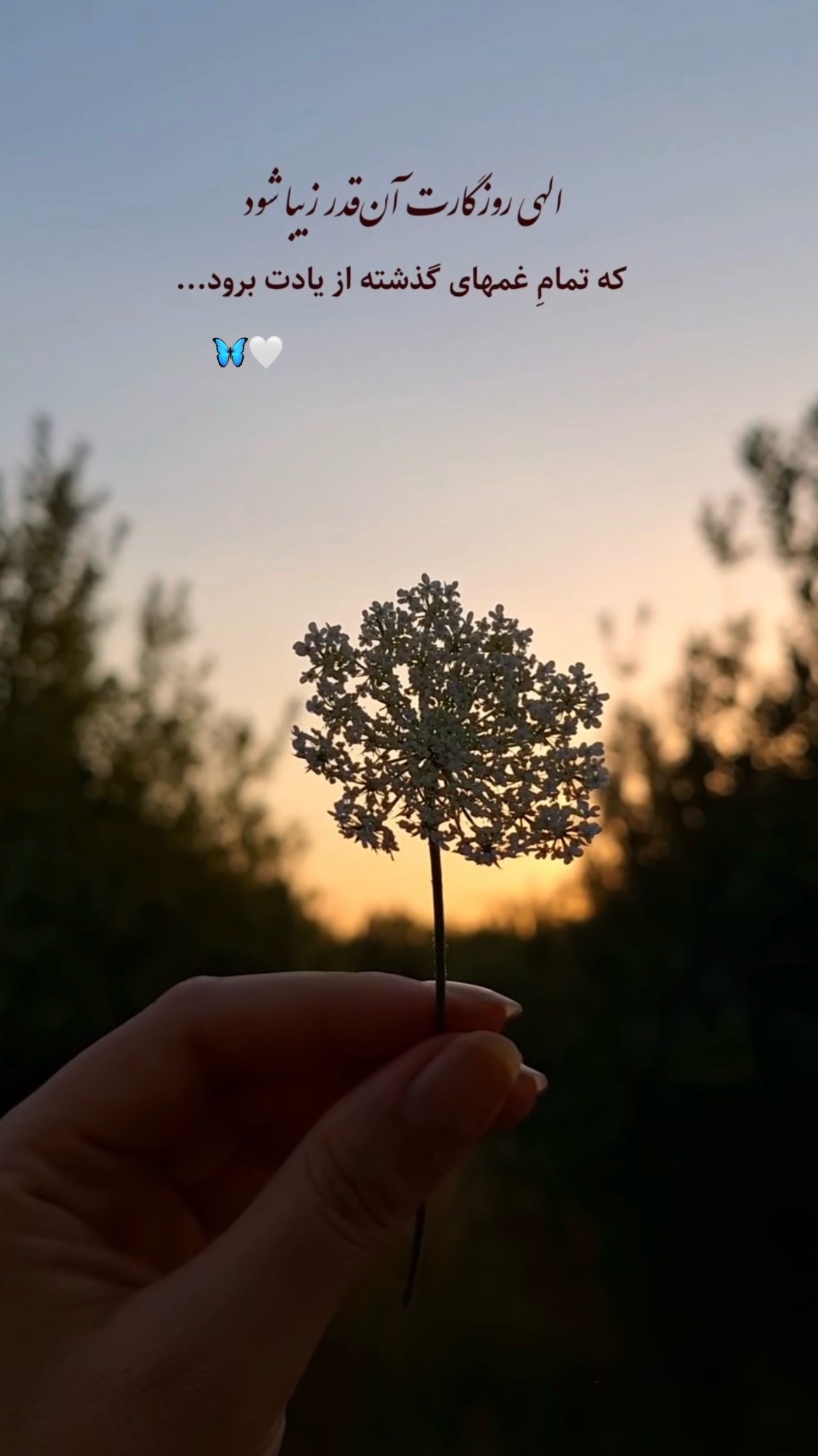 @𝓢𝓪𝓶𝓲𝓻𝓪❀