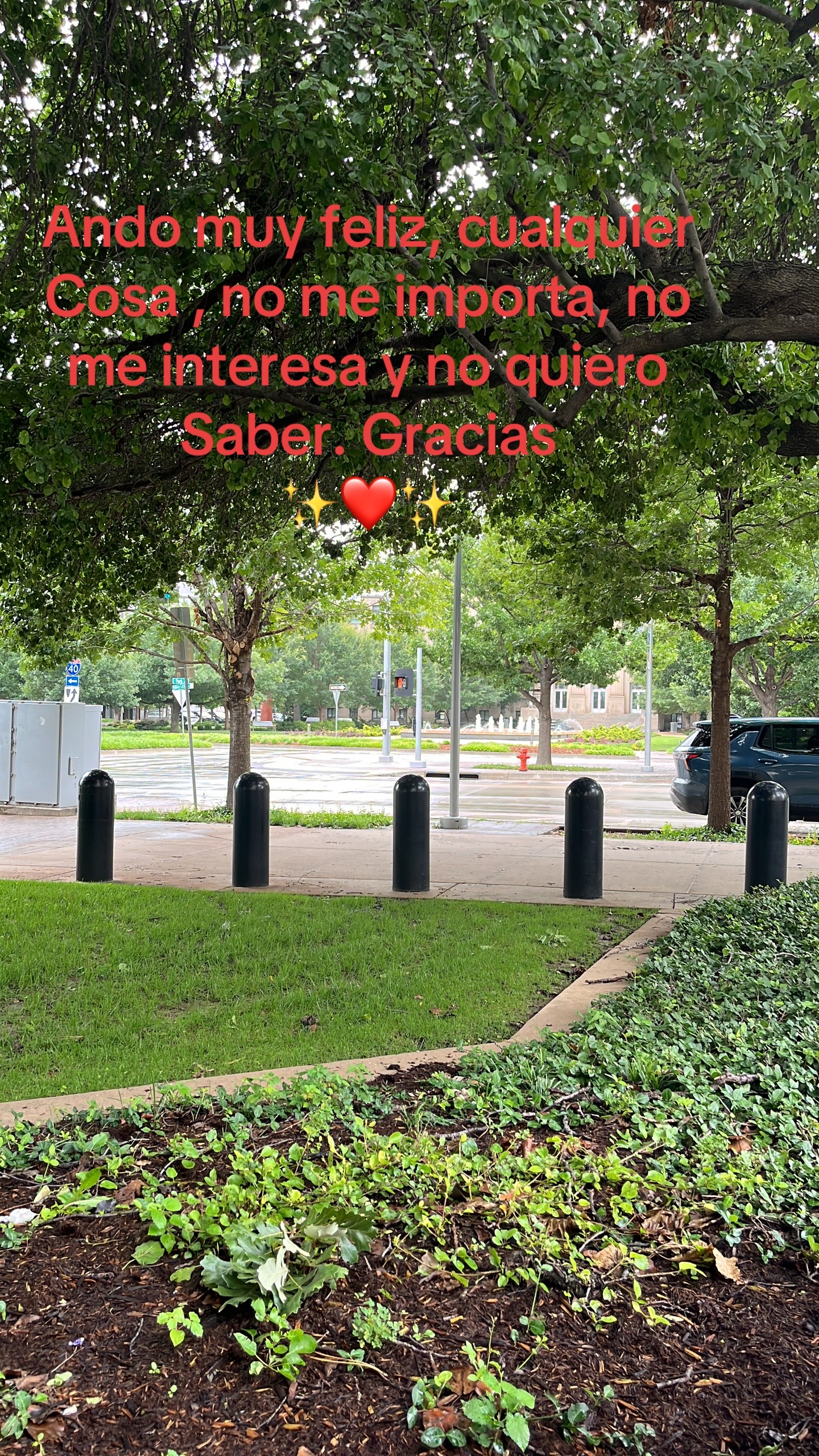 @Bibi