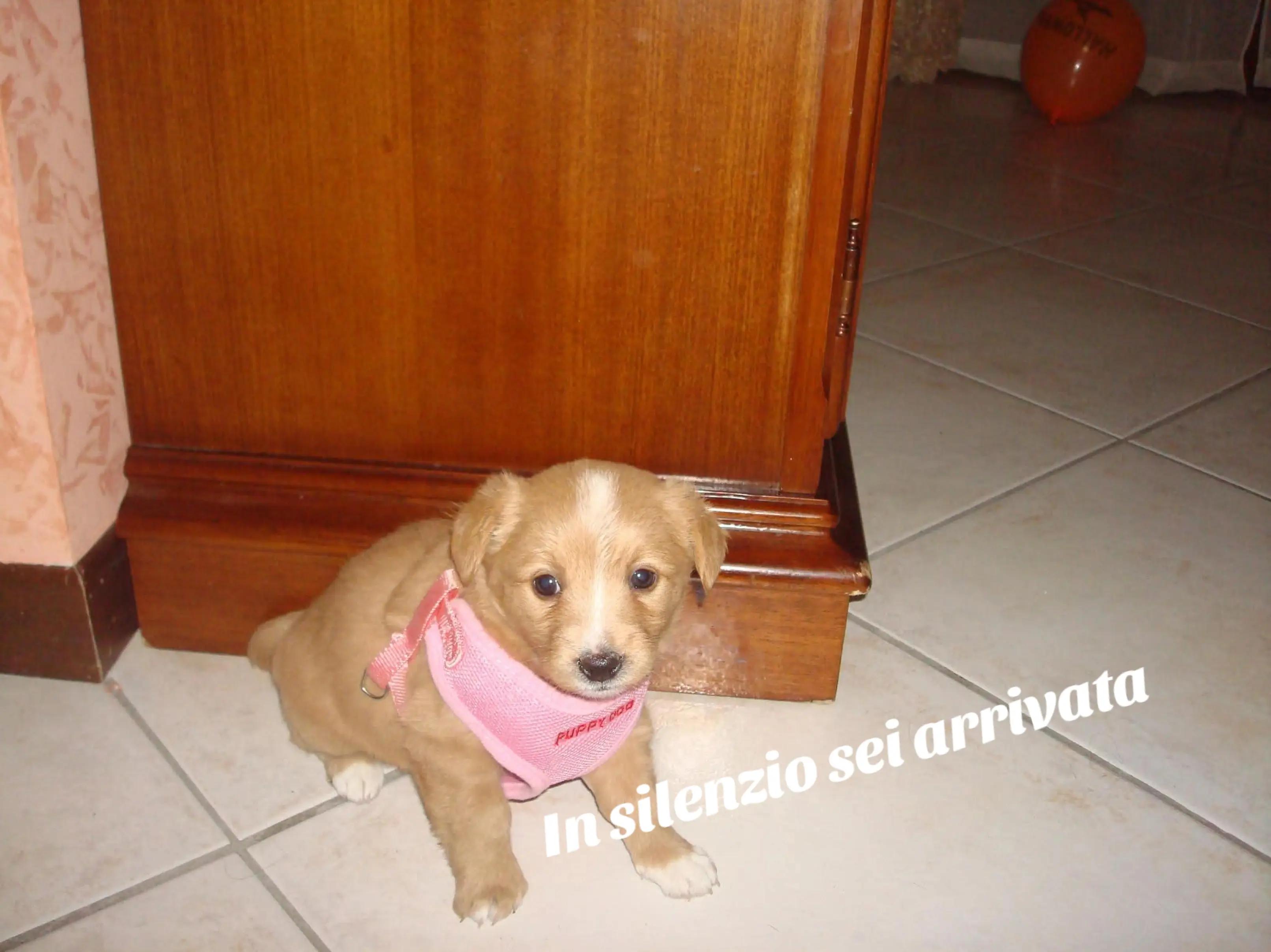 @Pina
