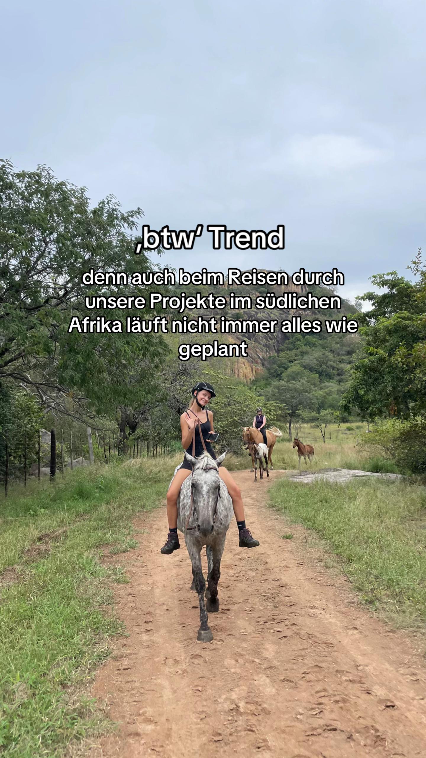 @Hoof & Travel 🐴🌍🐘