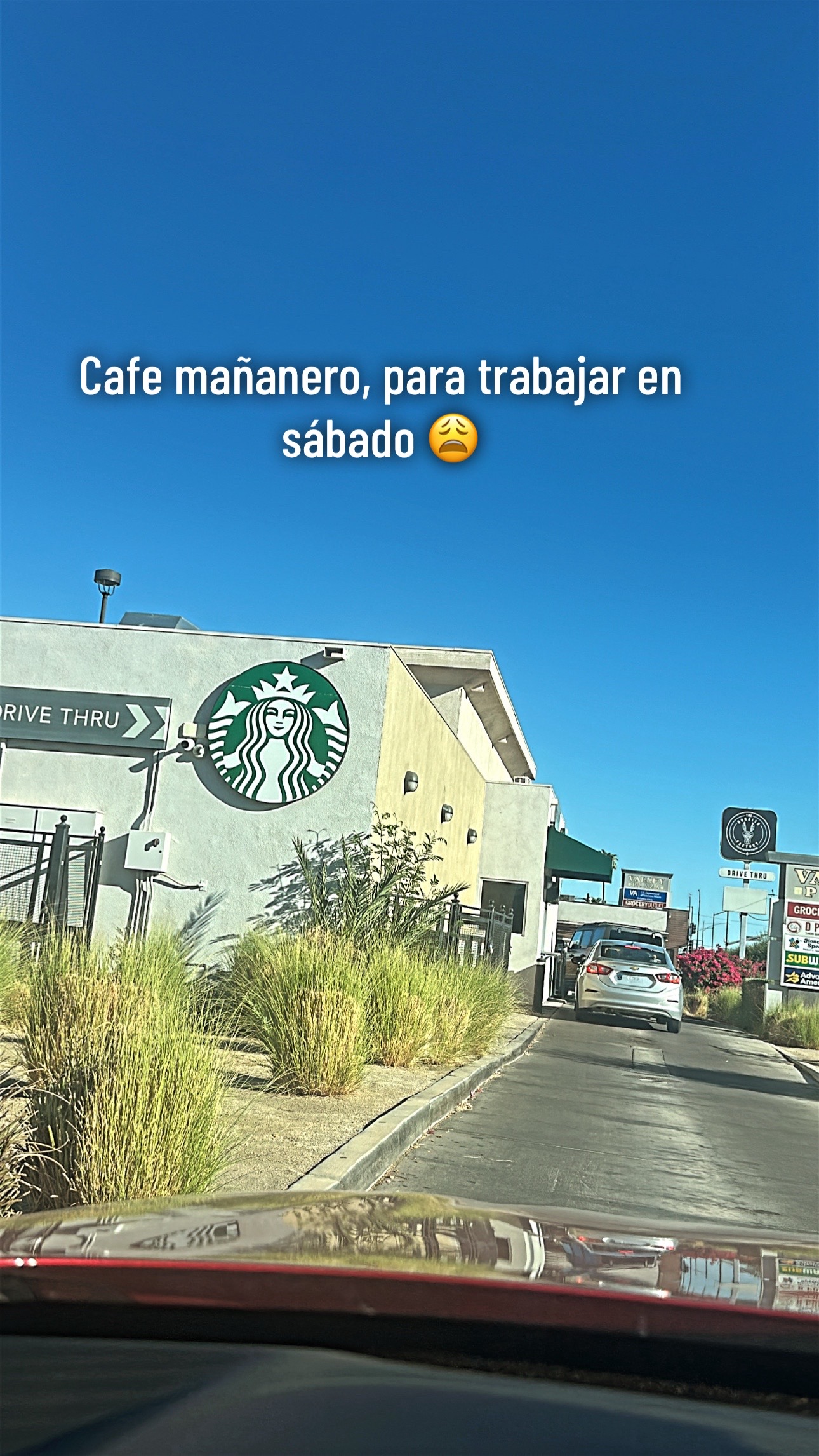 @Gabriela Serratos 🍉