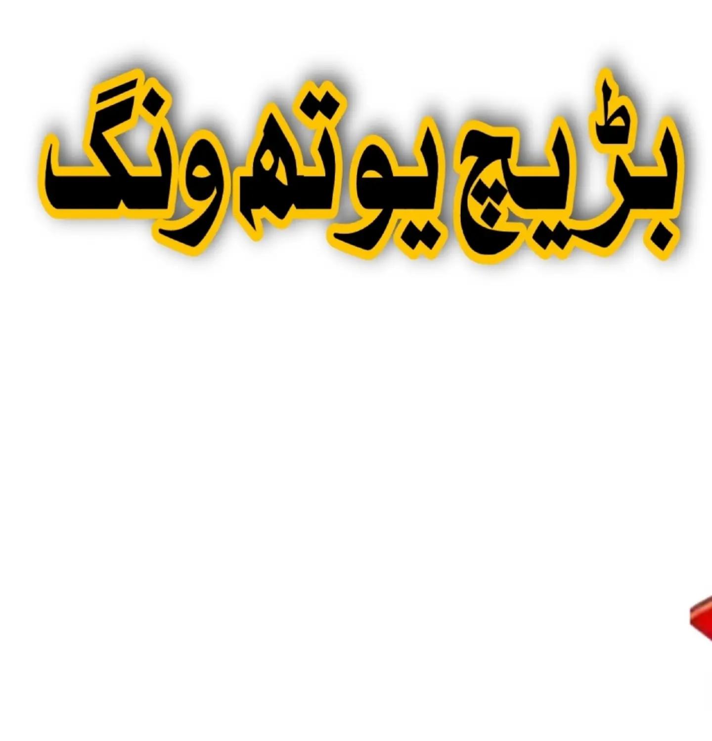 @بڑیچ یوتھ ونگ