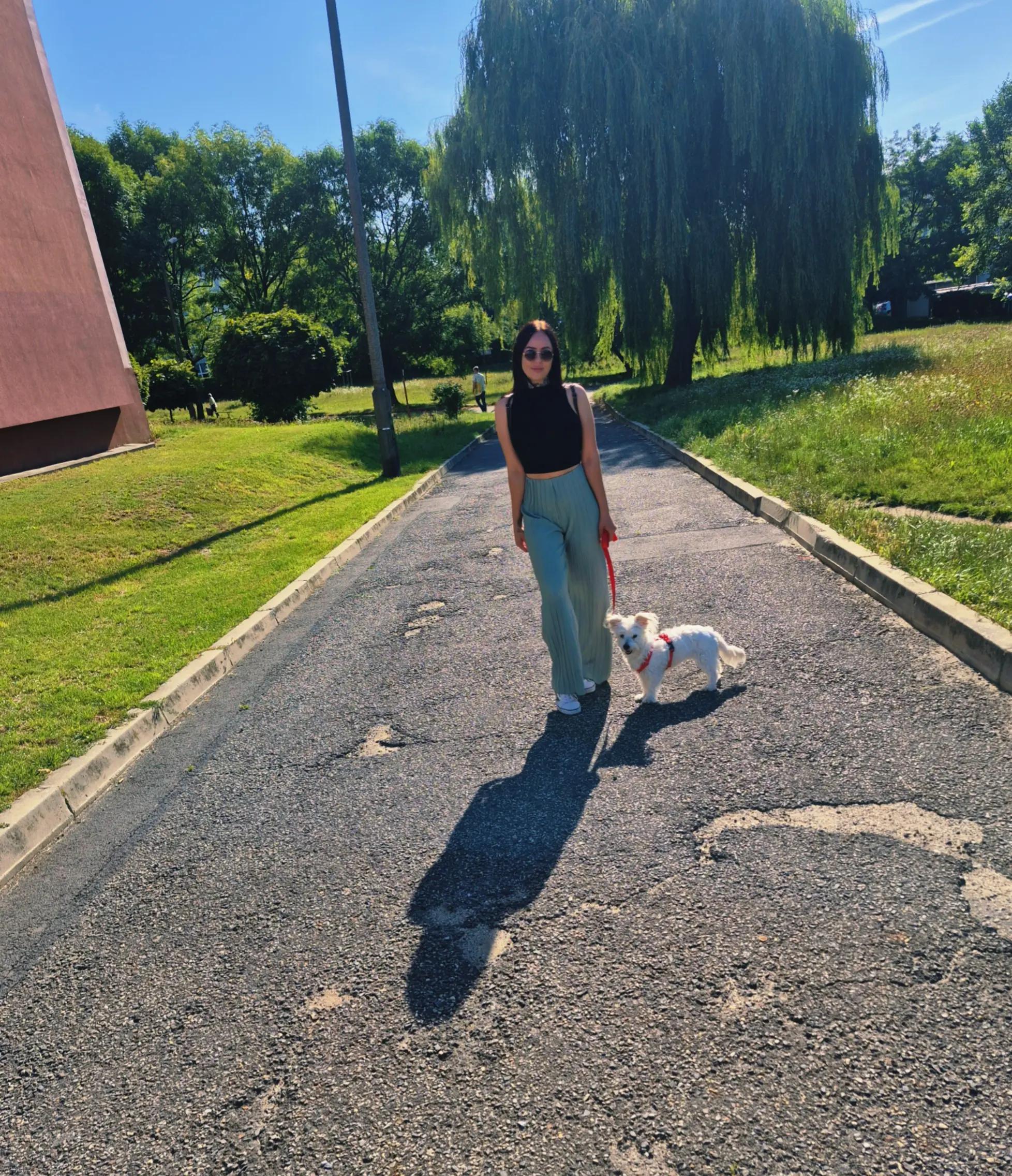 @Beatarudak