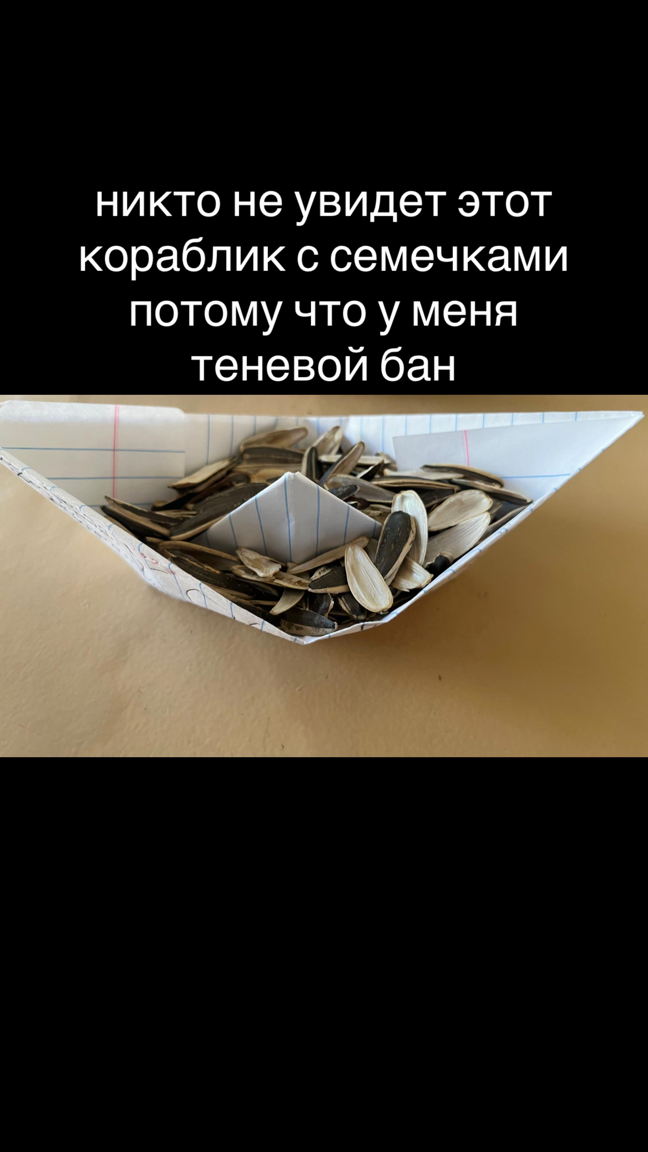 @Противогусик 