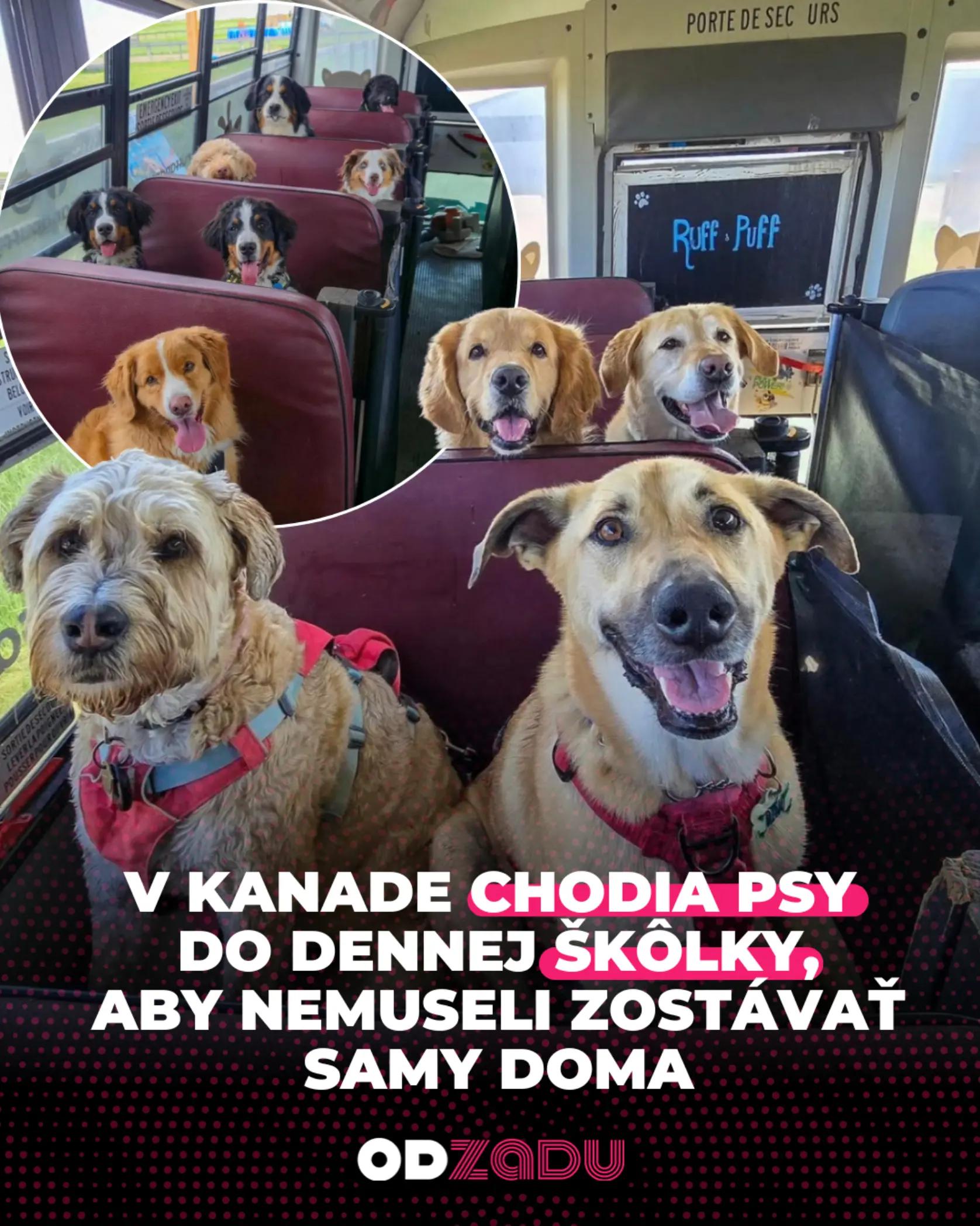 @Odzadu.sk