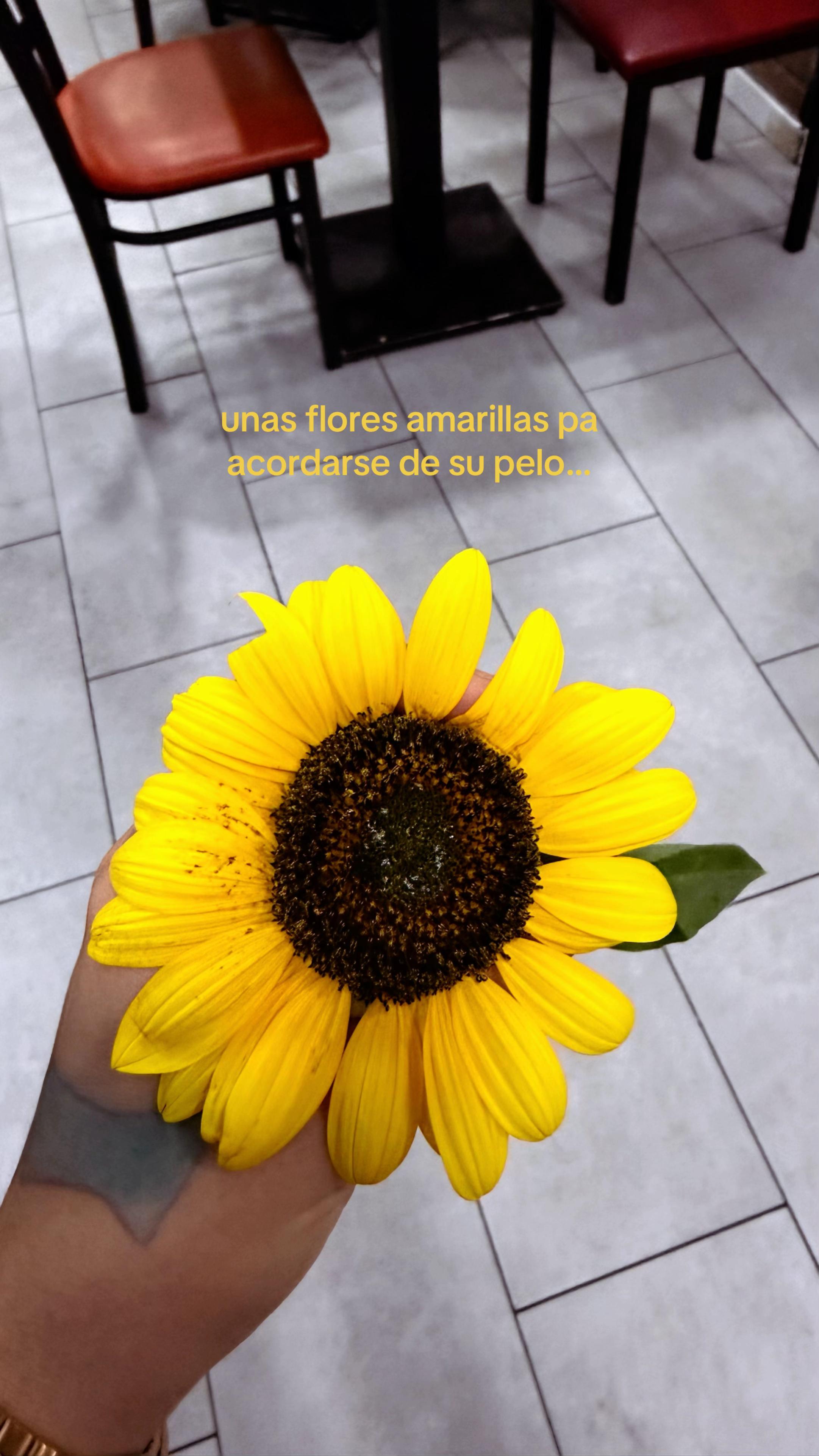 @nahia.niaquii