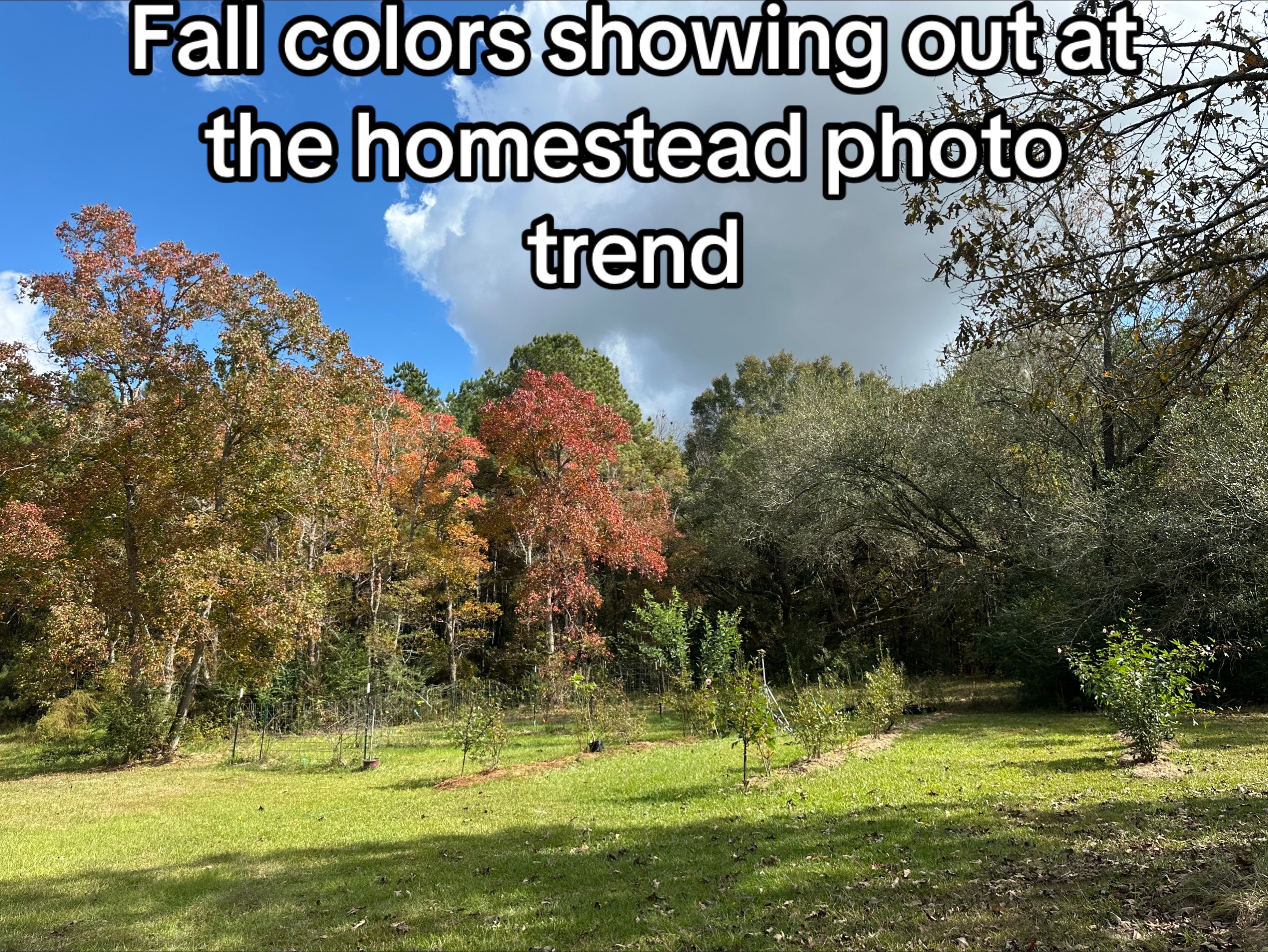 @Old_Stillmore_Homestead