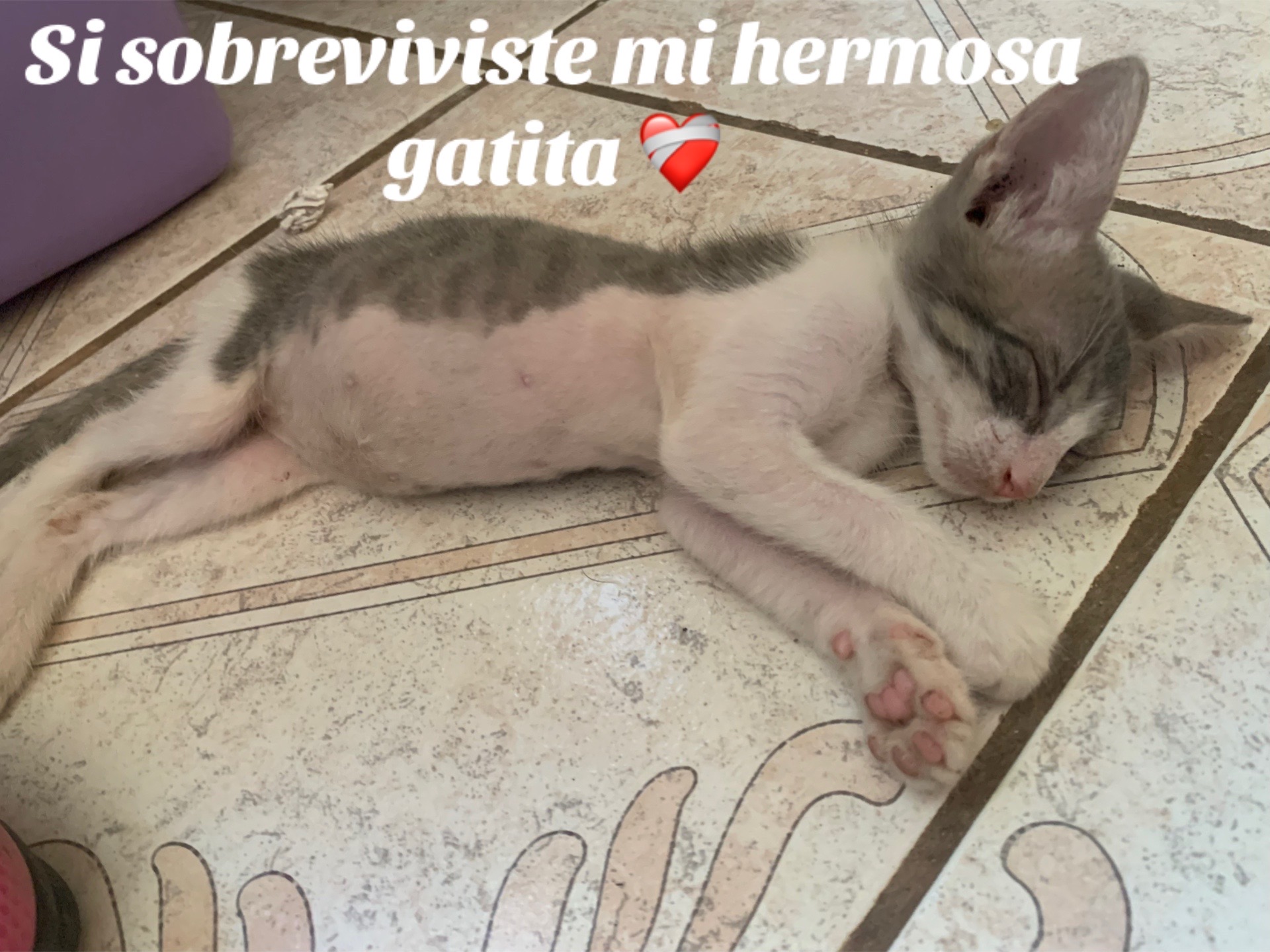 @✨Mara Galaviz ✨