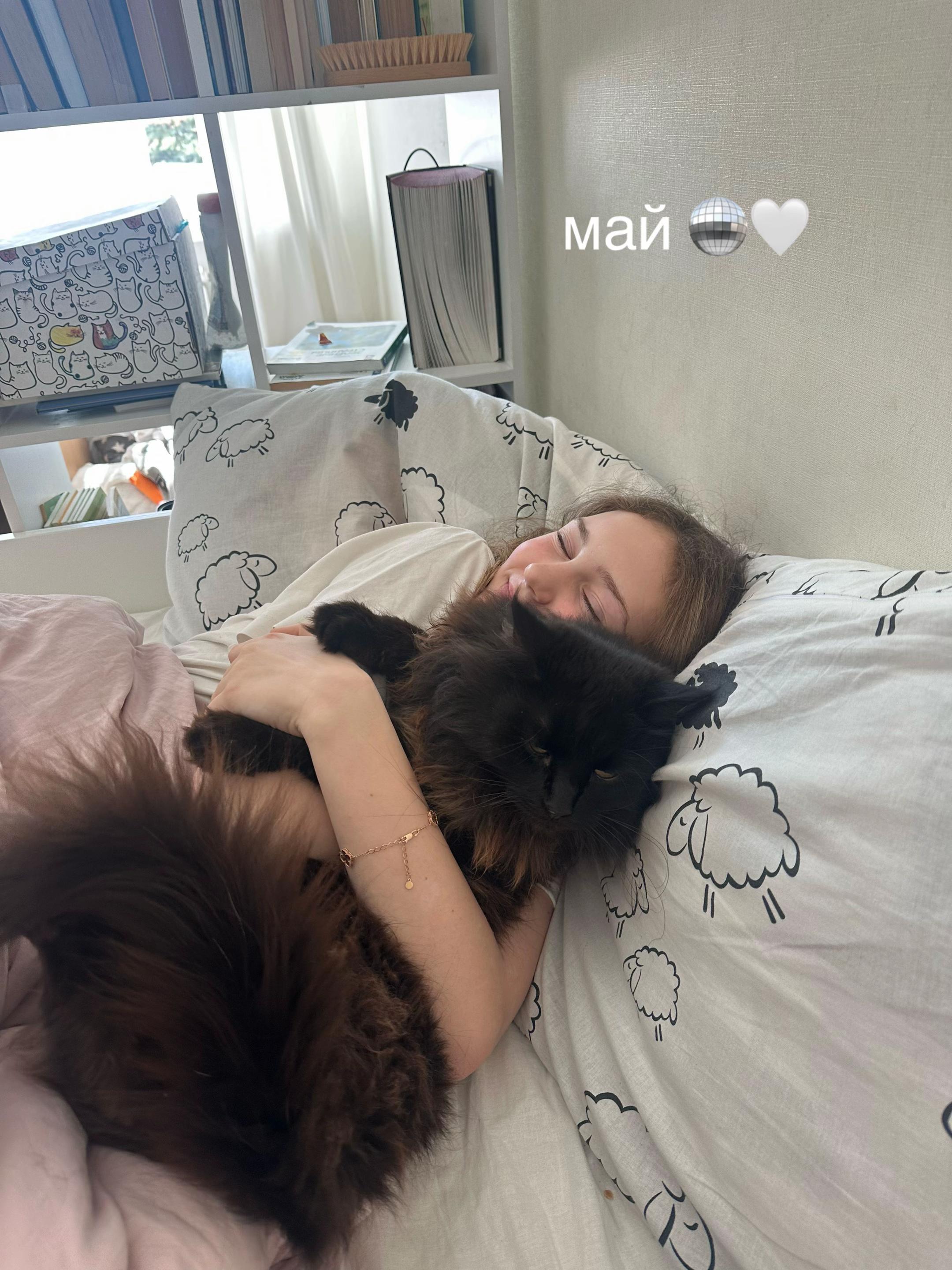 @кит кат