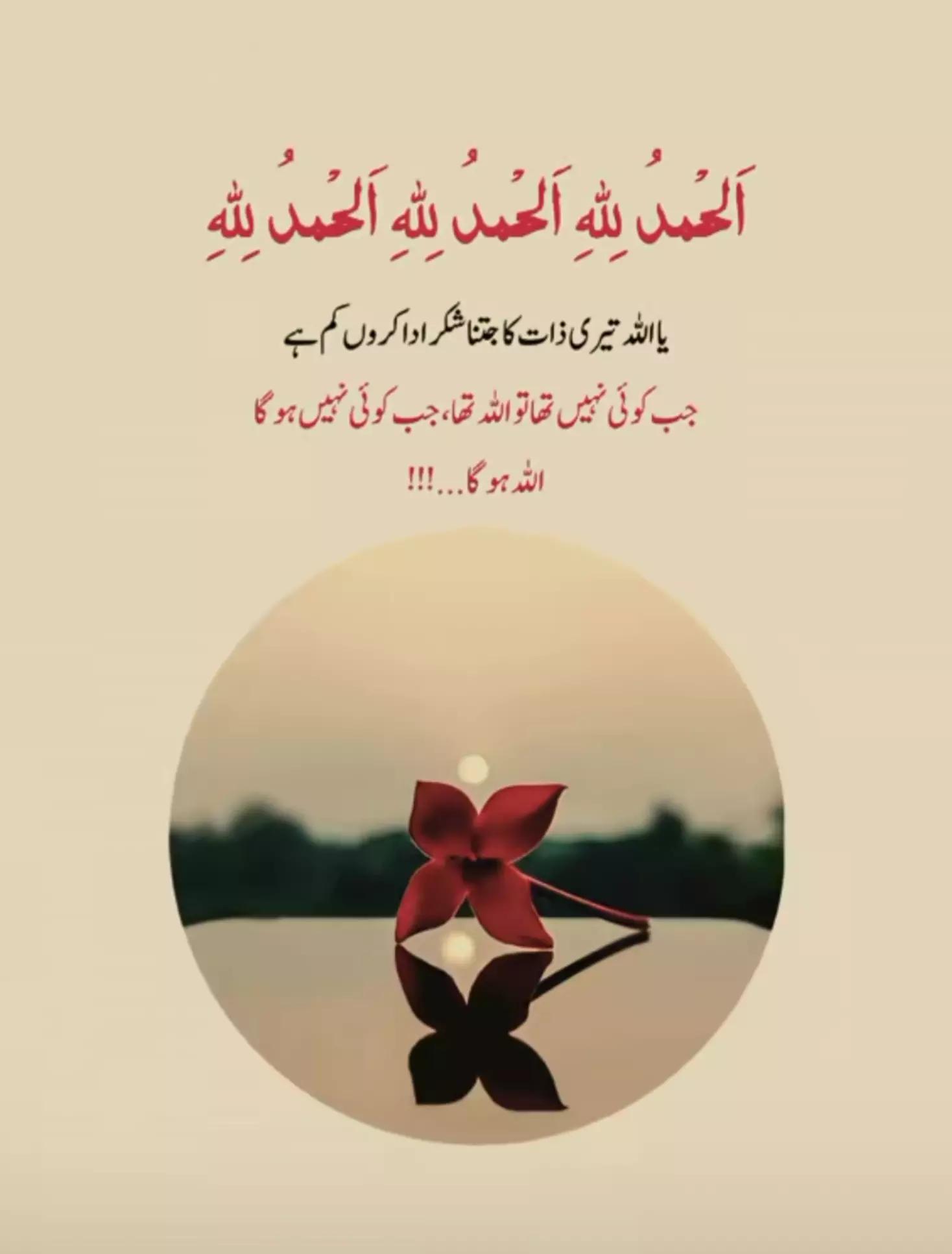 @NomanSheikh157