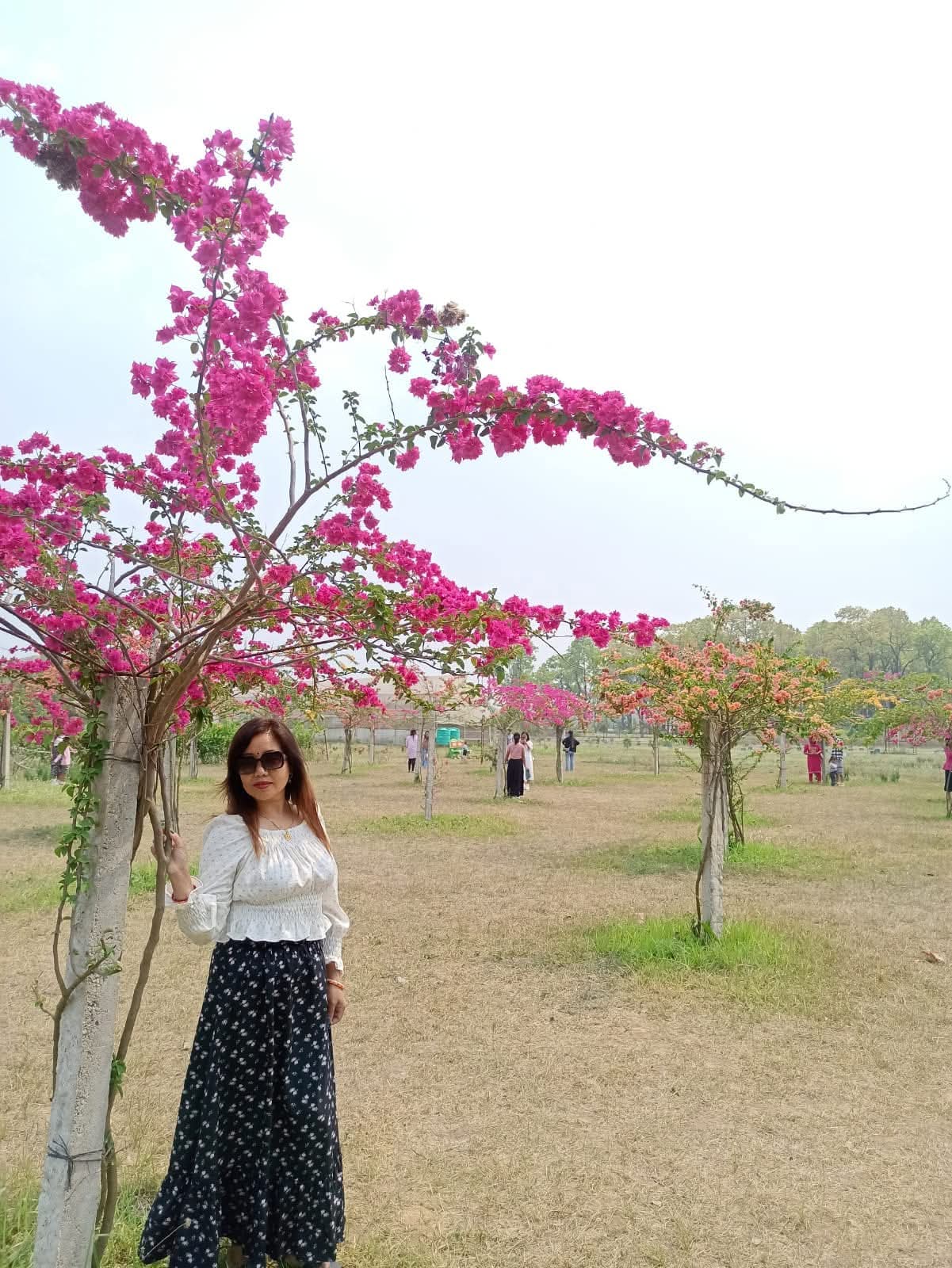 @🌺Sashi Kuikel🌺