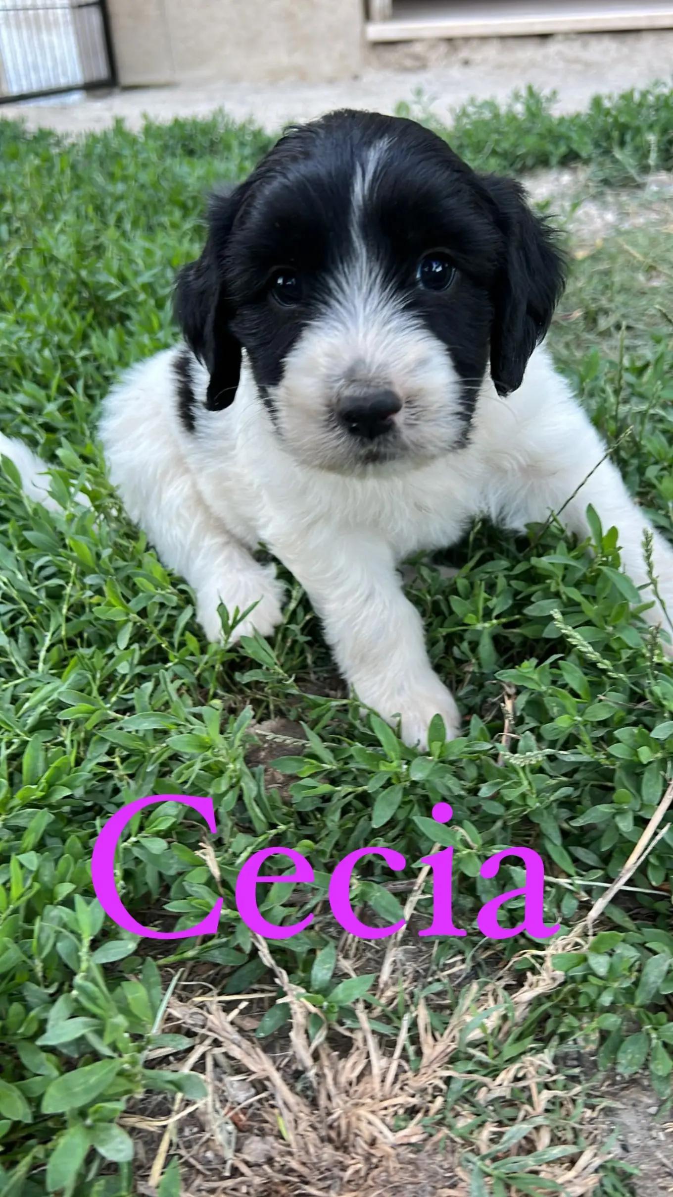 @Io e la mia karmela 🥰