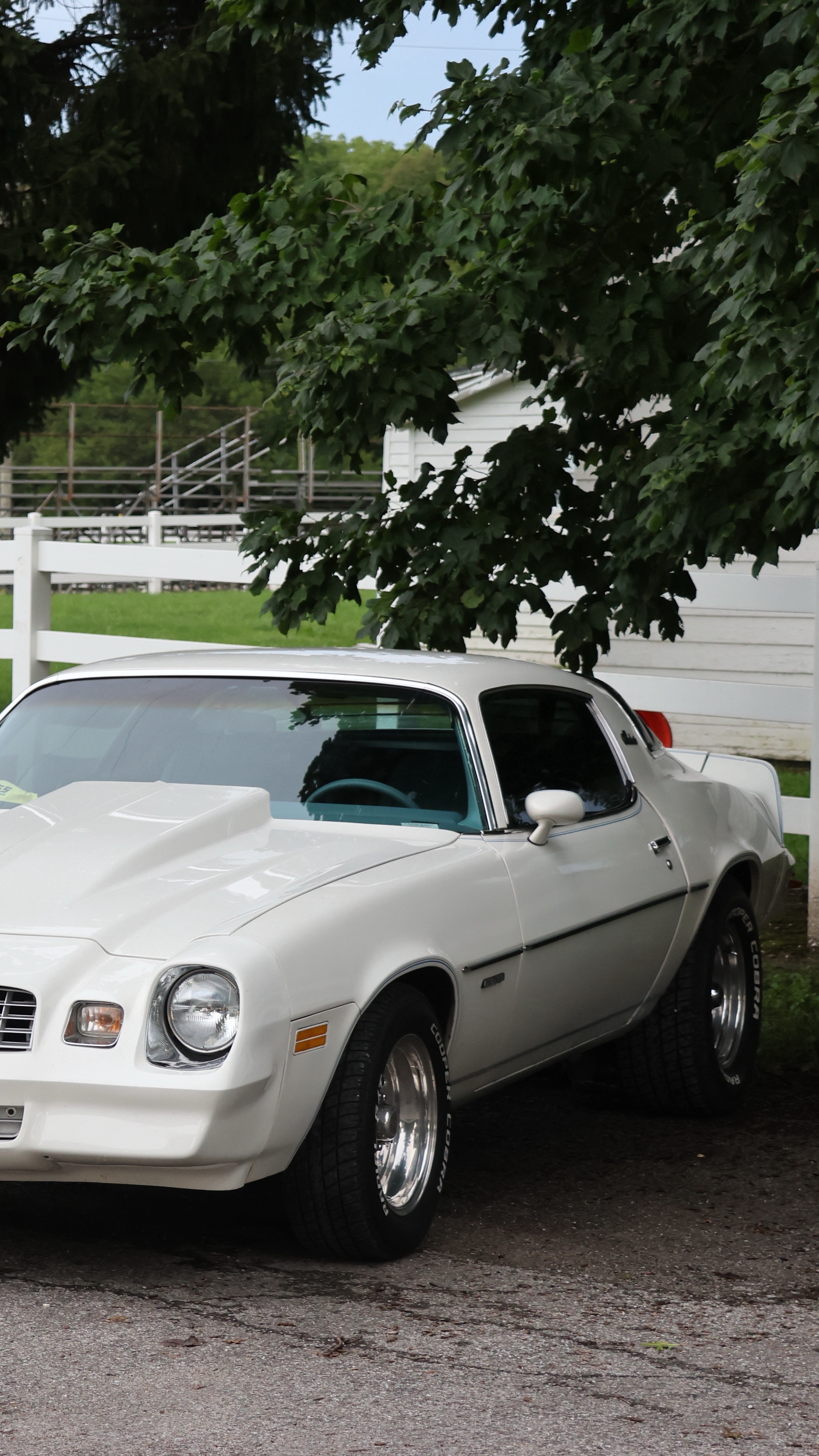 @79_Camaro