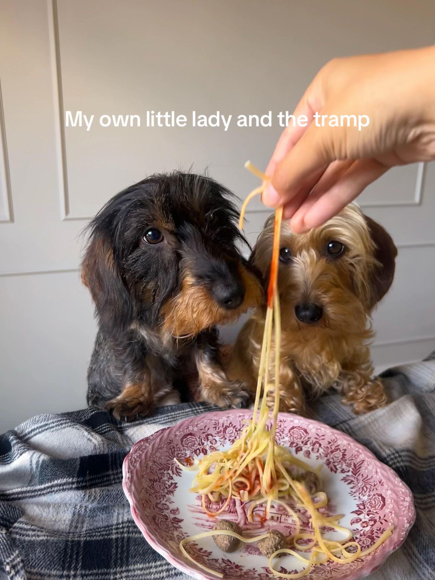 @lifeoflunabowie