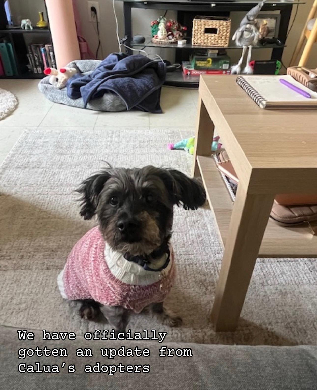 @gens_pups