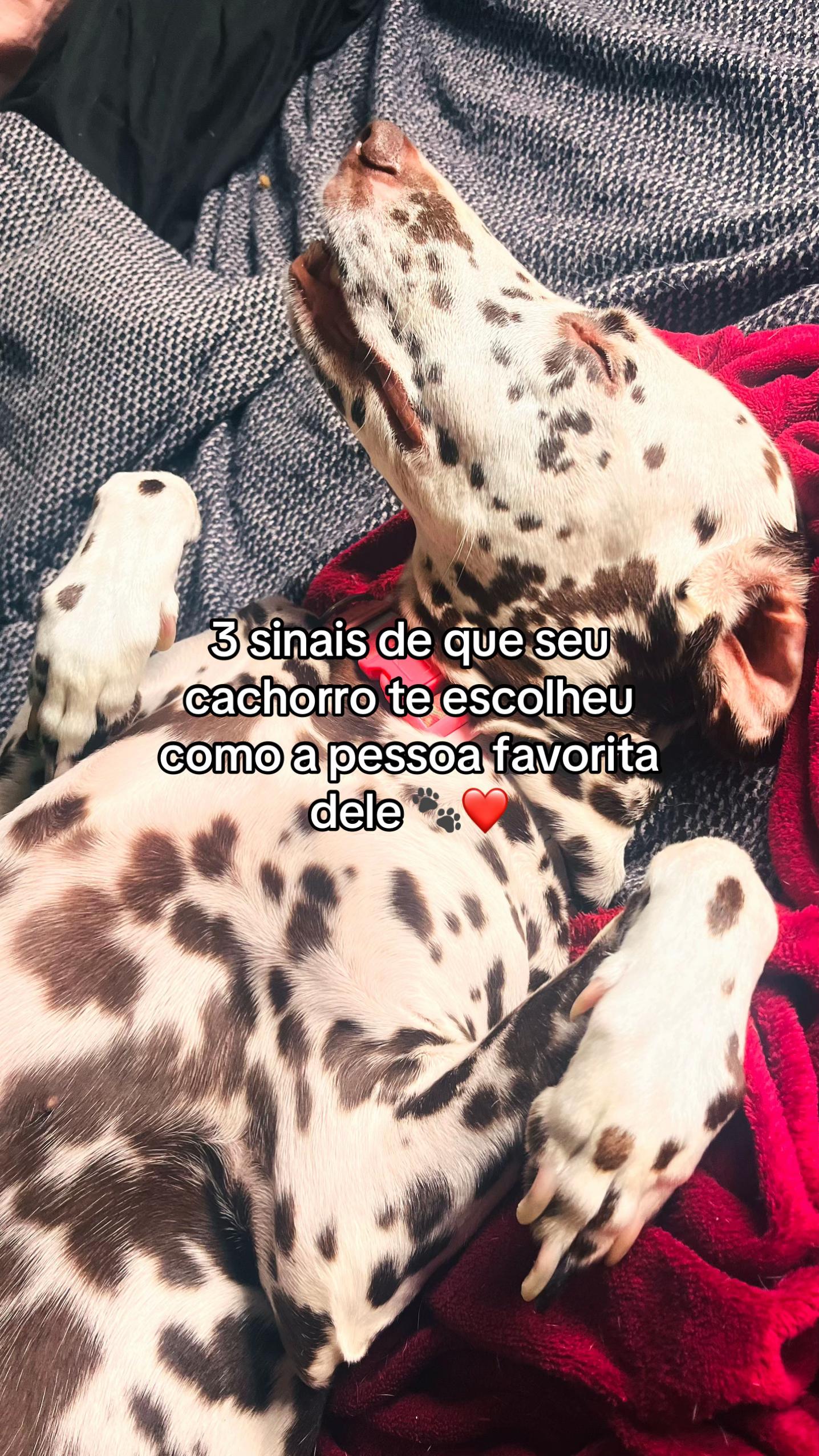 @Margô e Jude