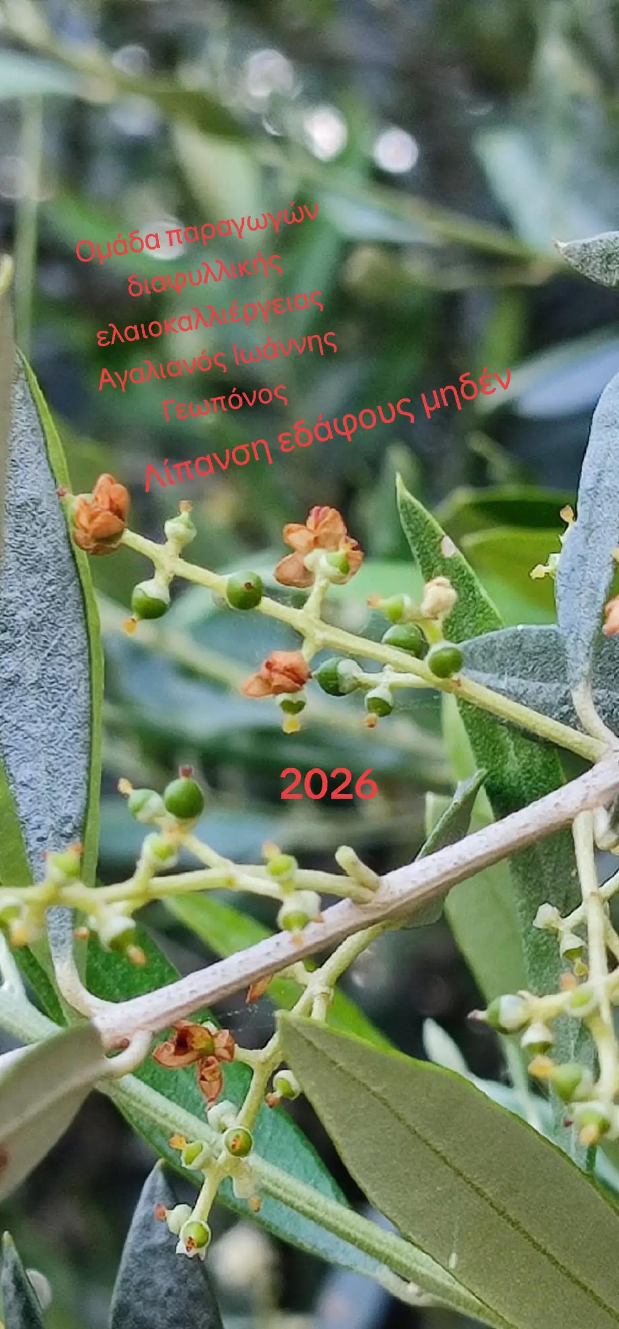 @&Alpha;&gamma;&alpha;&lambda;&iota;&alpha;&nu;ό&sigmaf; &Iota;&omega;ά&nu;&nu;&eta;&sigmaf; &Gamma;&epsilon;&omega;&pi;ό&nu;&omicron;&sigmaf;
