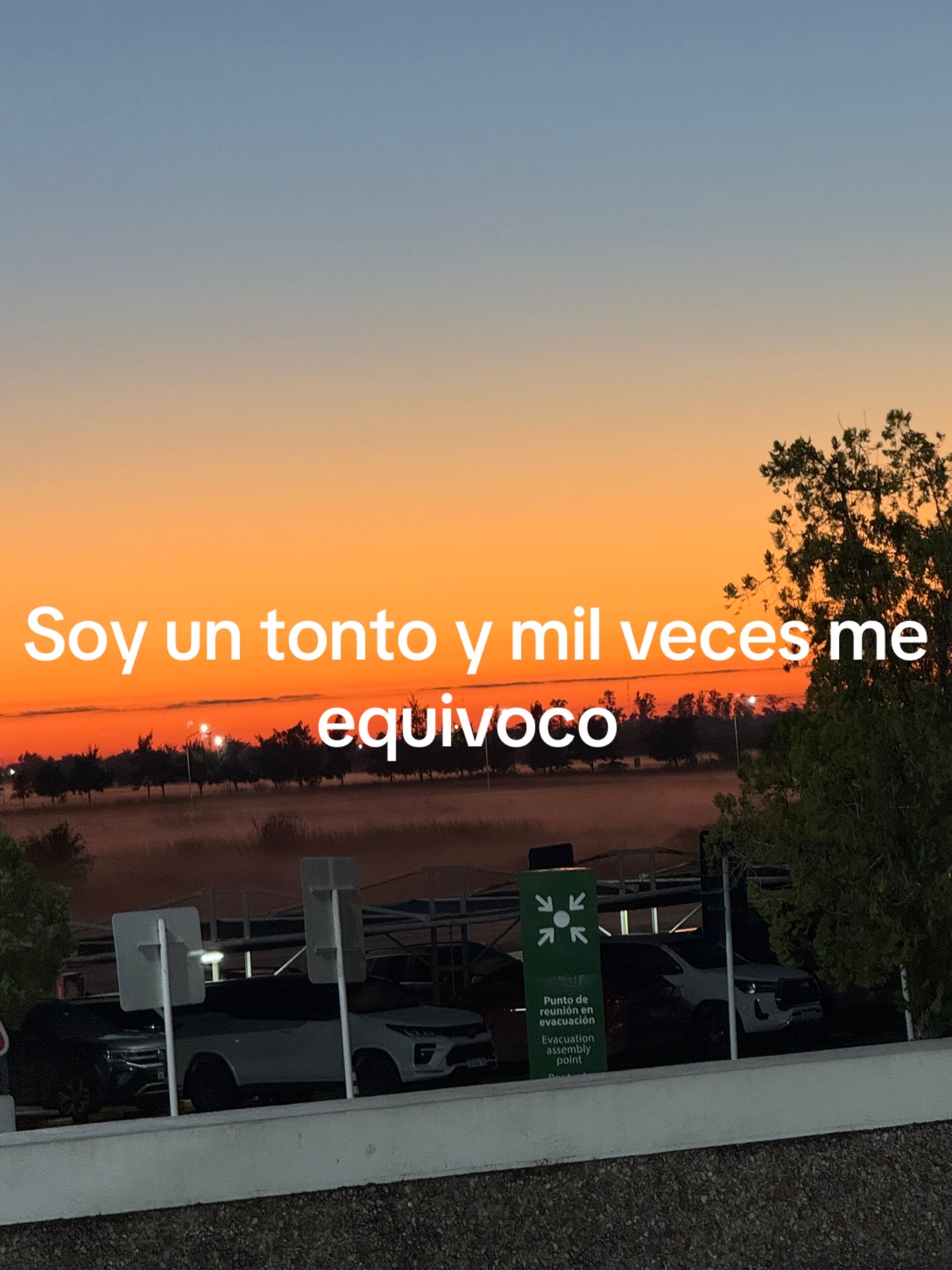 @Marti y delfi