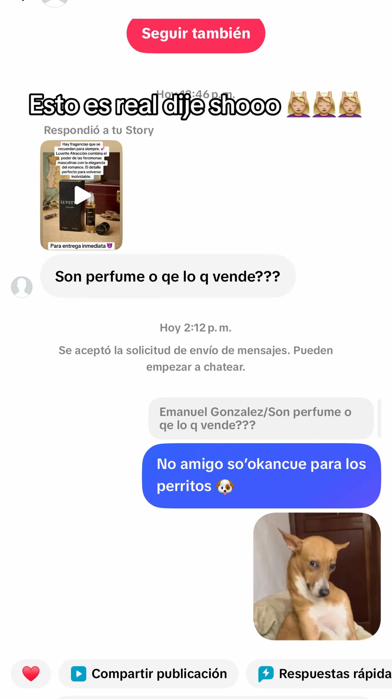@SofiRodriguez