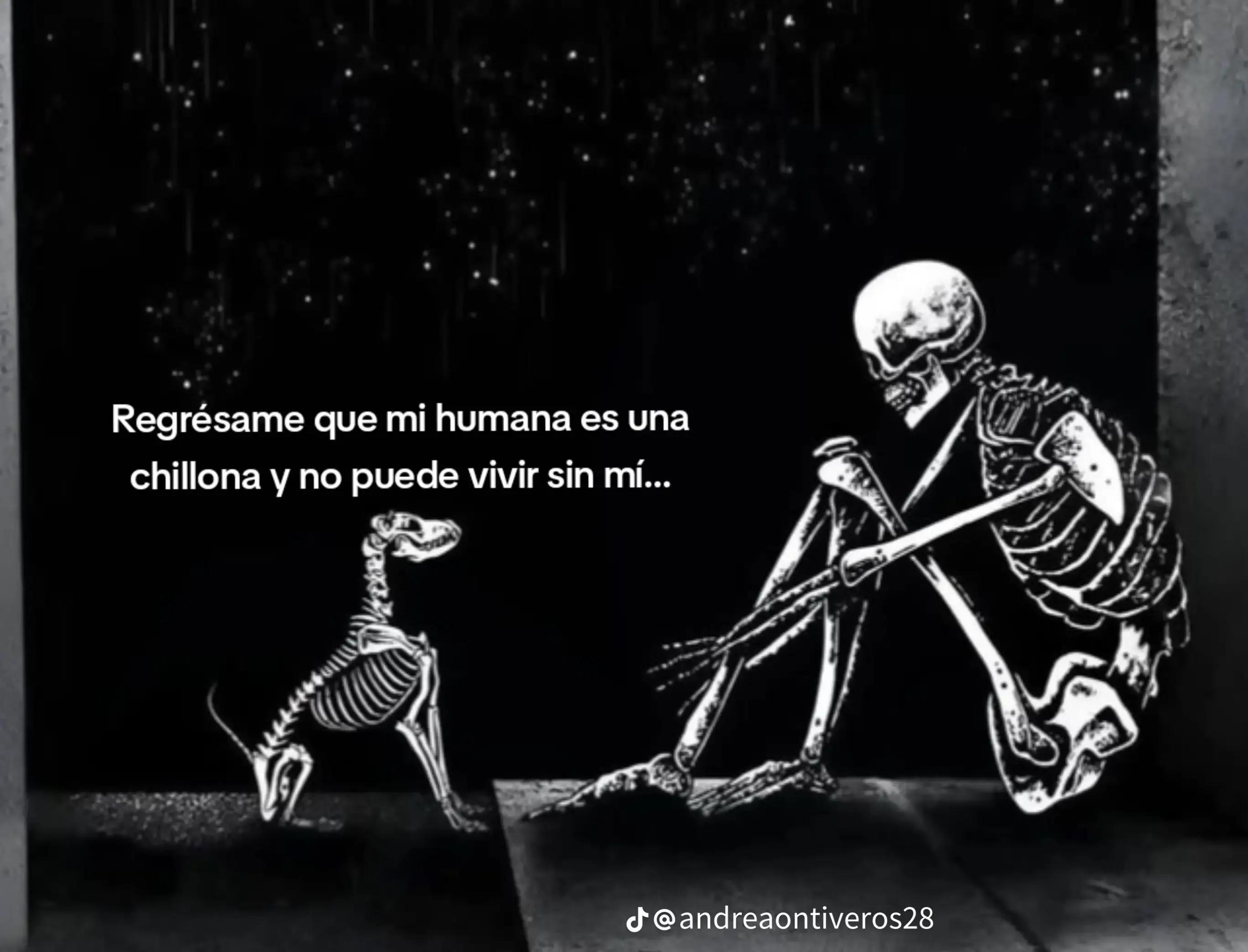 @karii