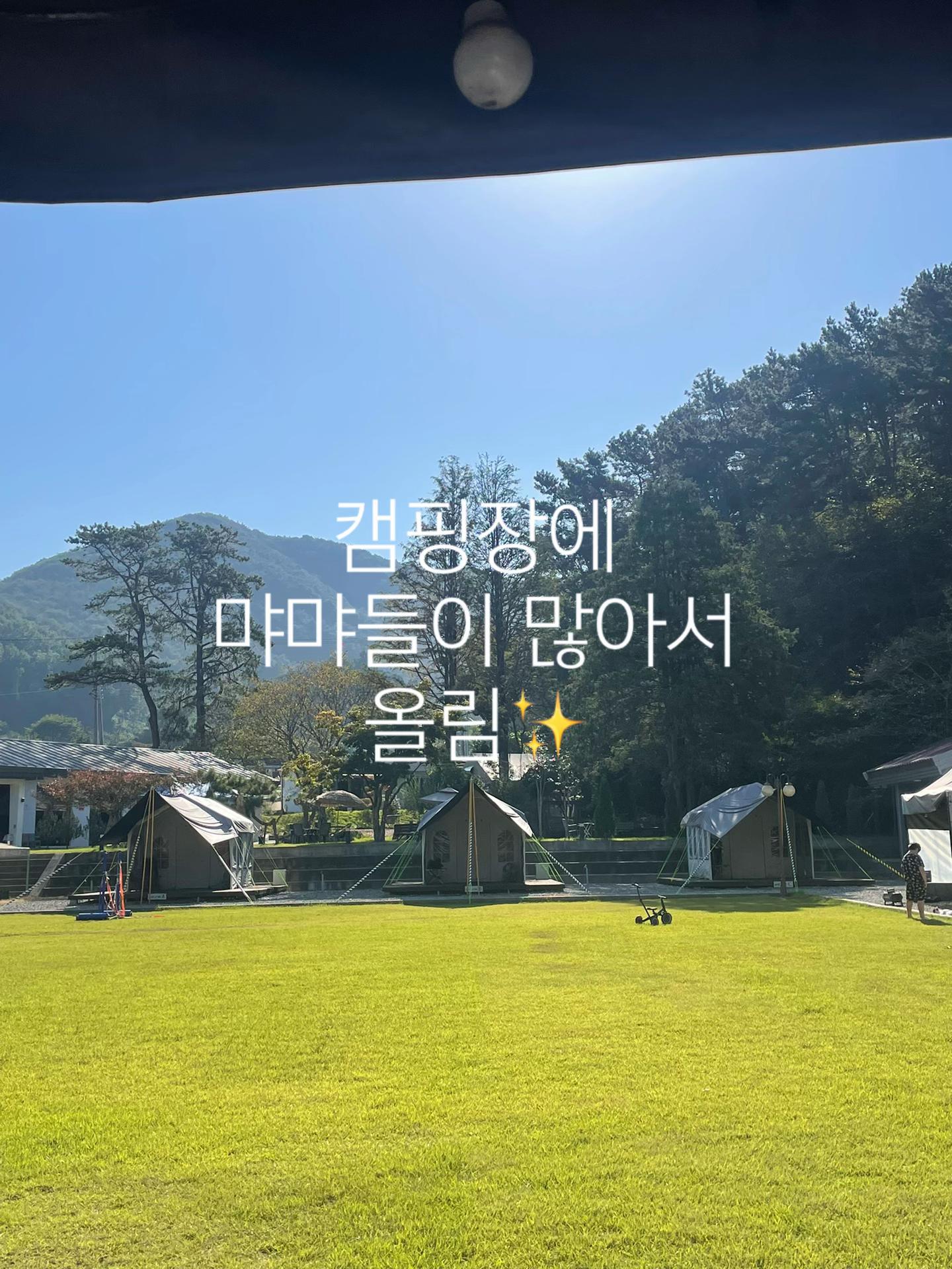 @도연