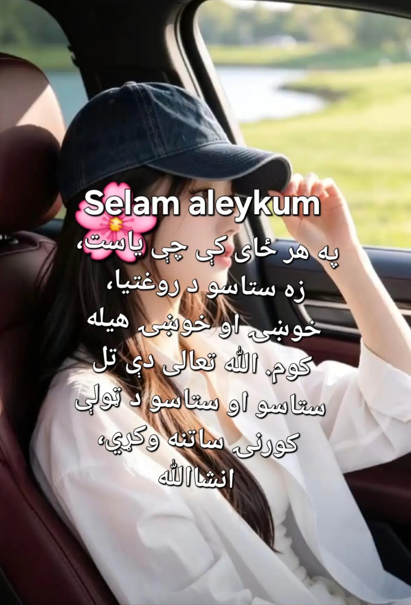 @Rodica Faisal