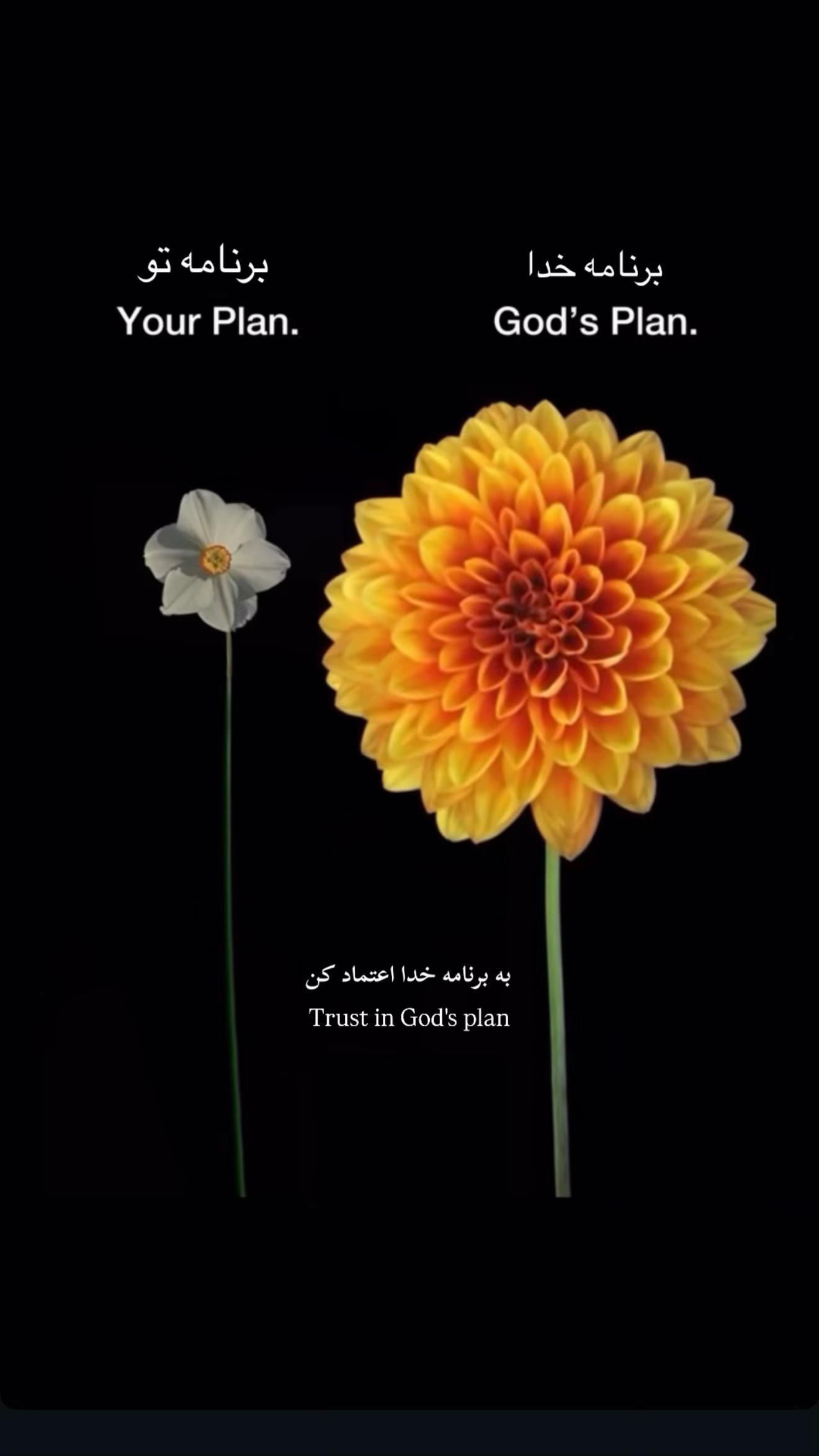@Reshad Afghanyar