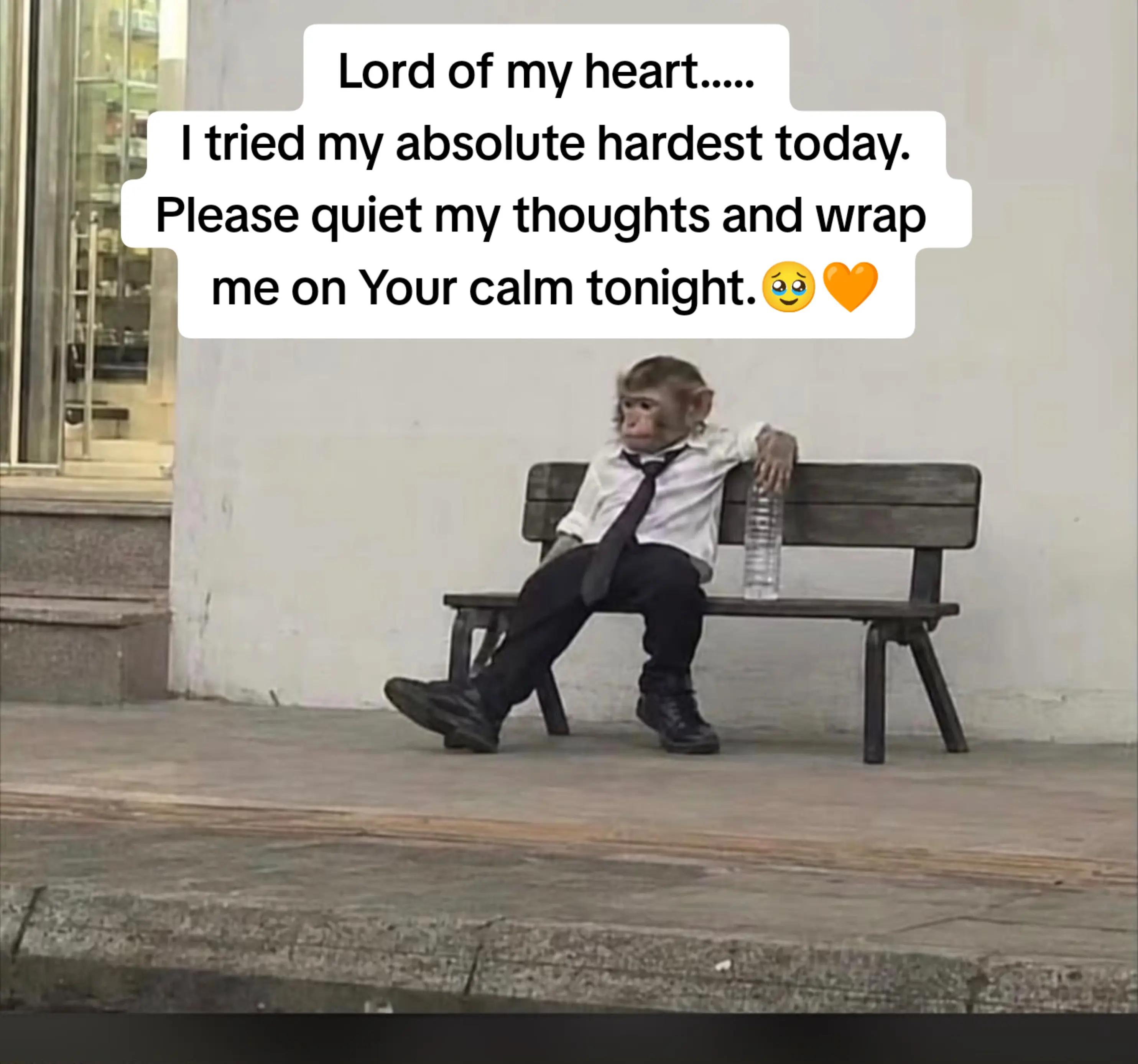 @HUMBLE LION 🦁
