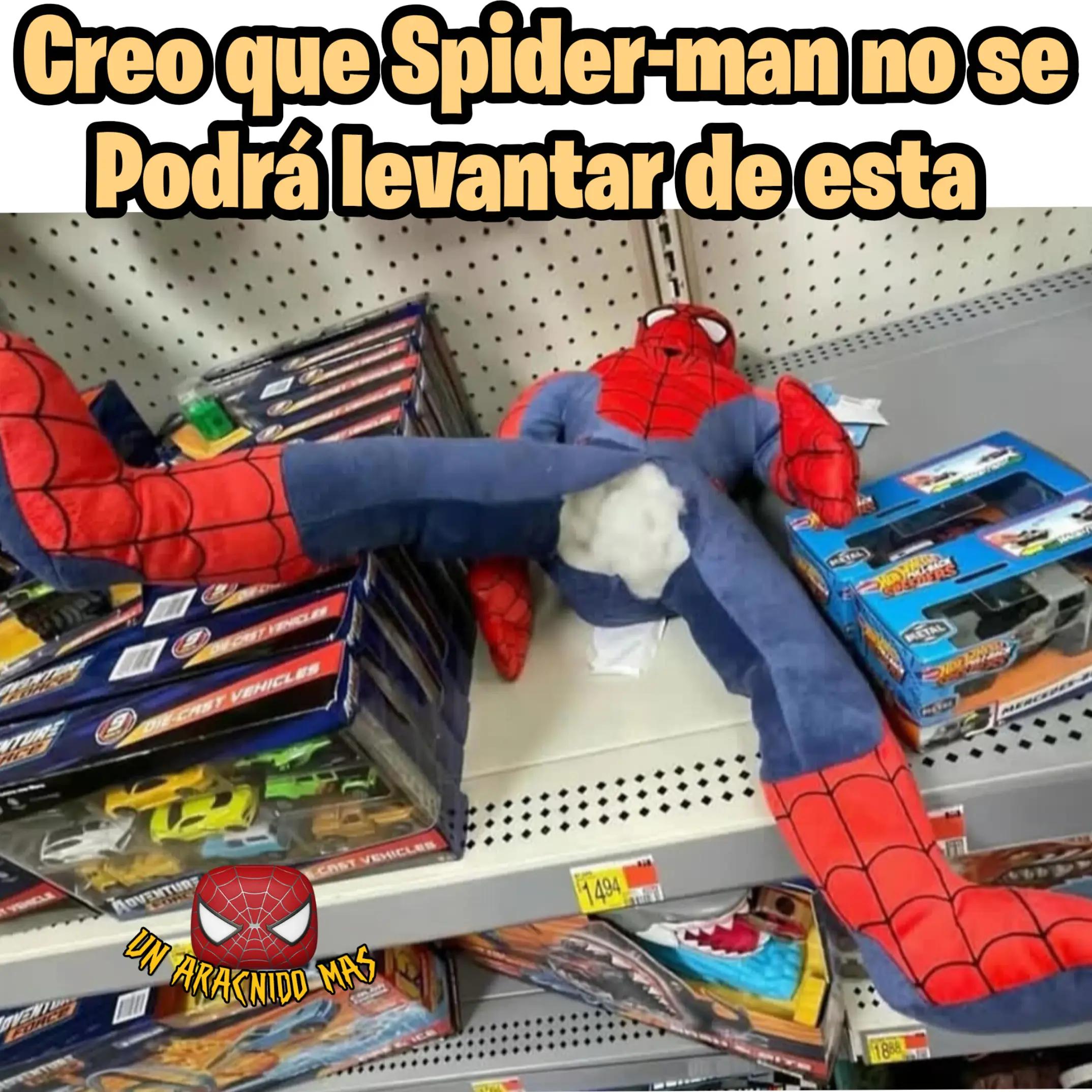 @Un Arácnido Más🕷️