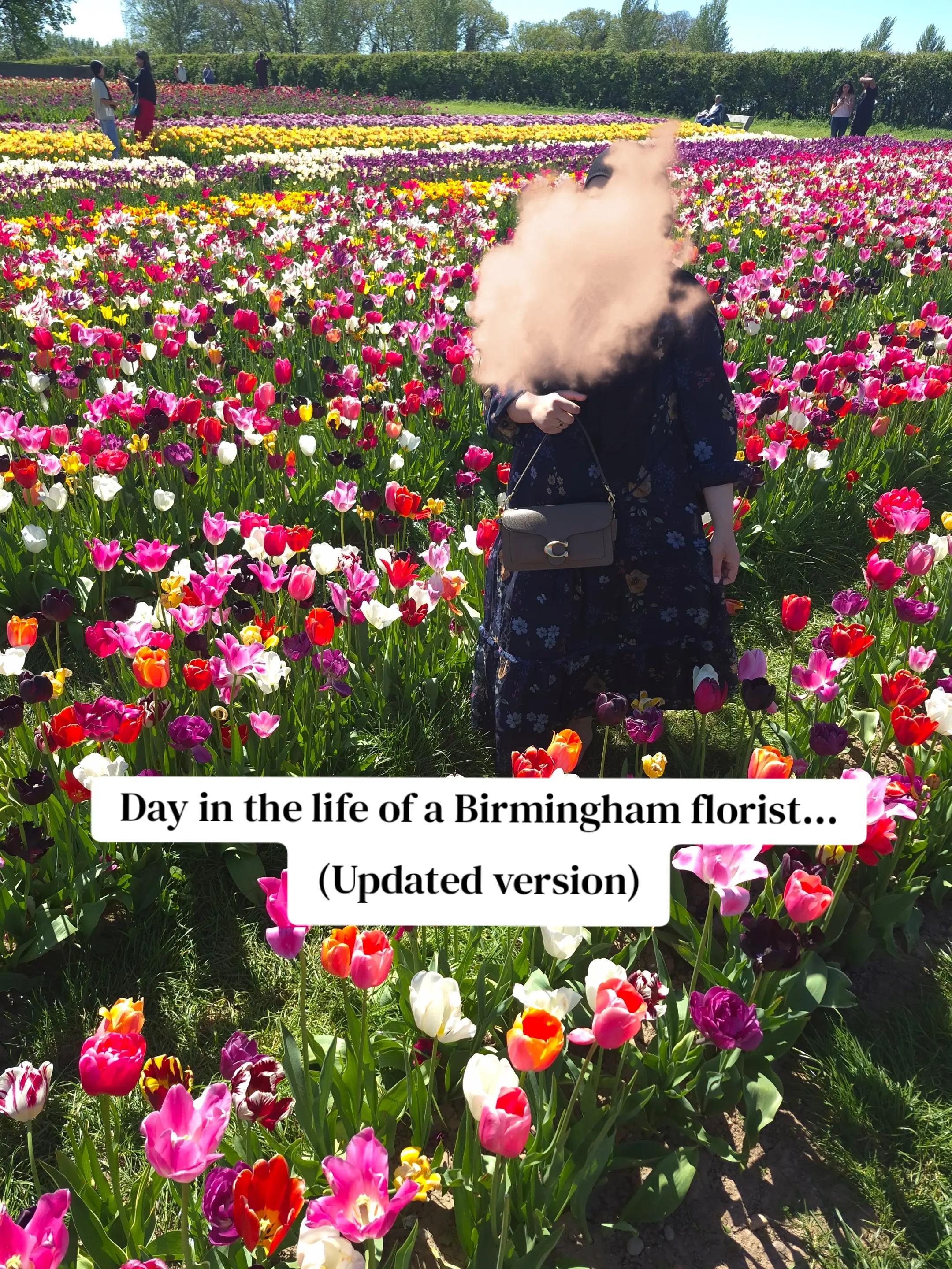 @Bloomingrosesbyz