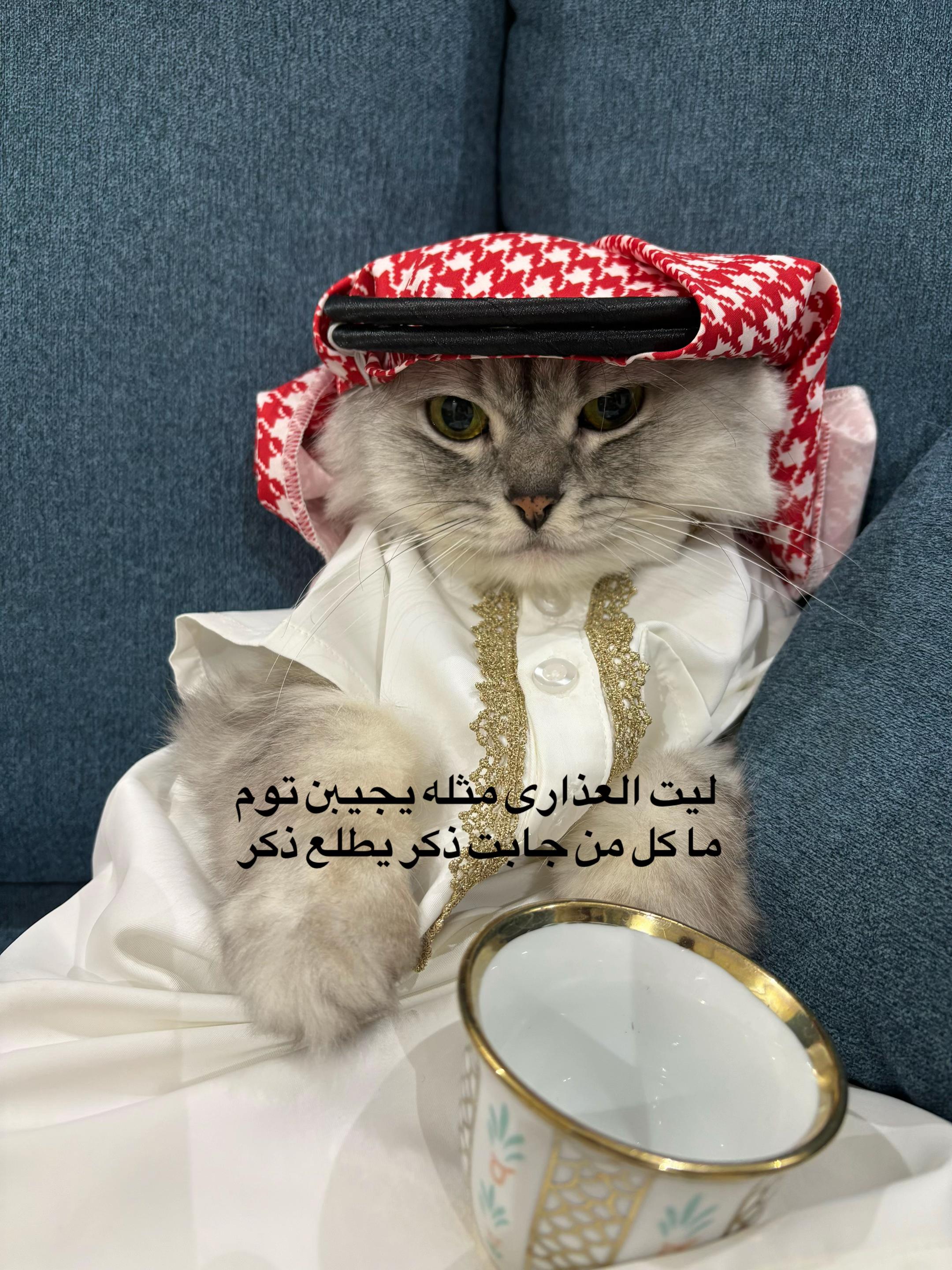 @شـــ☀️ــــد