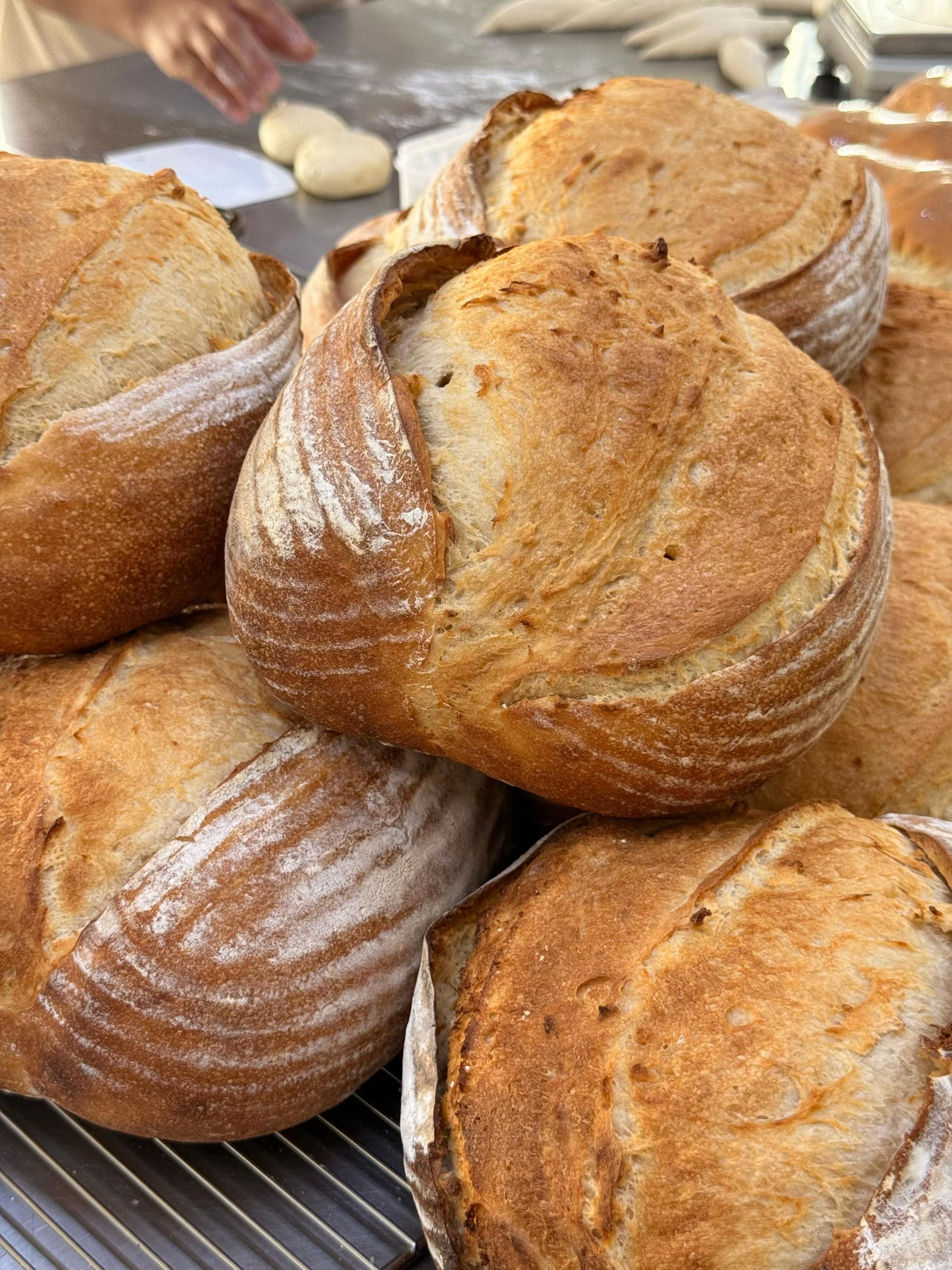 @Baker Daily Phuket