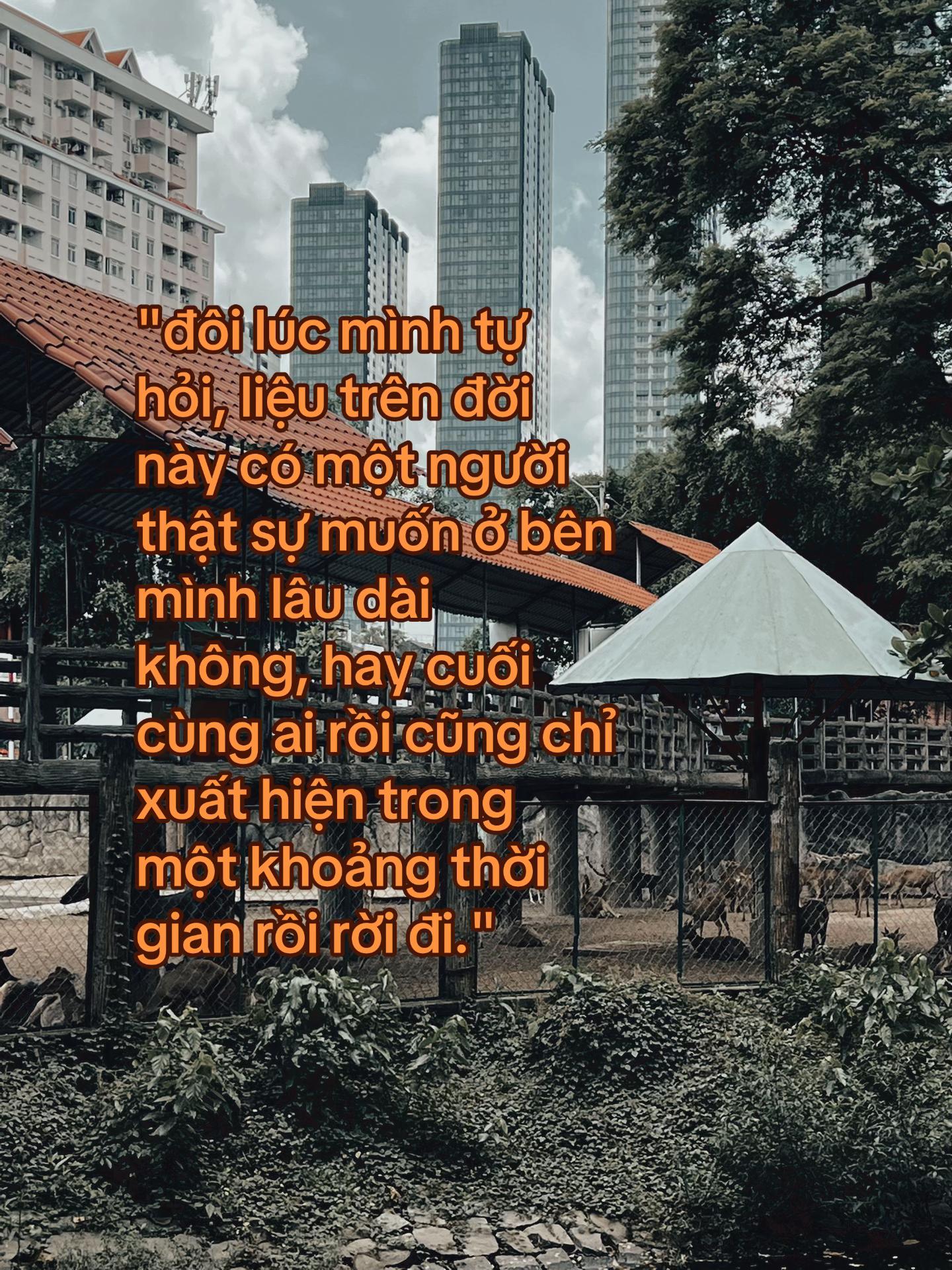 @Đăngg
