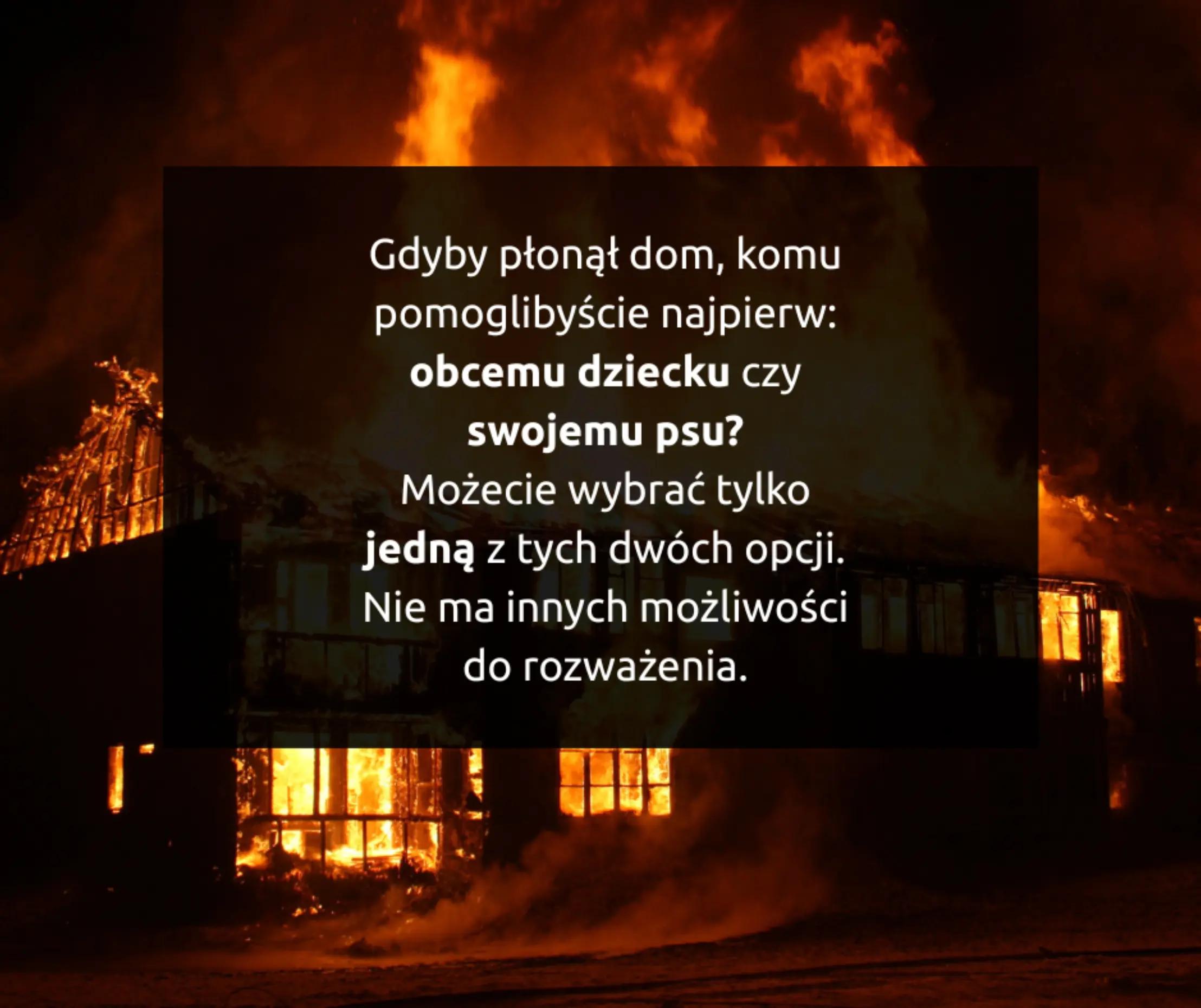 @STREFA MROKU