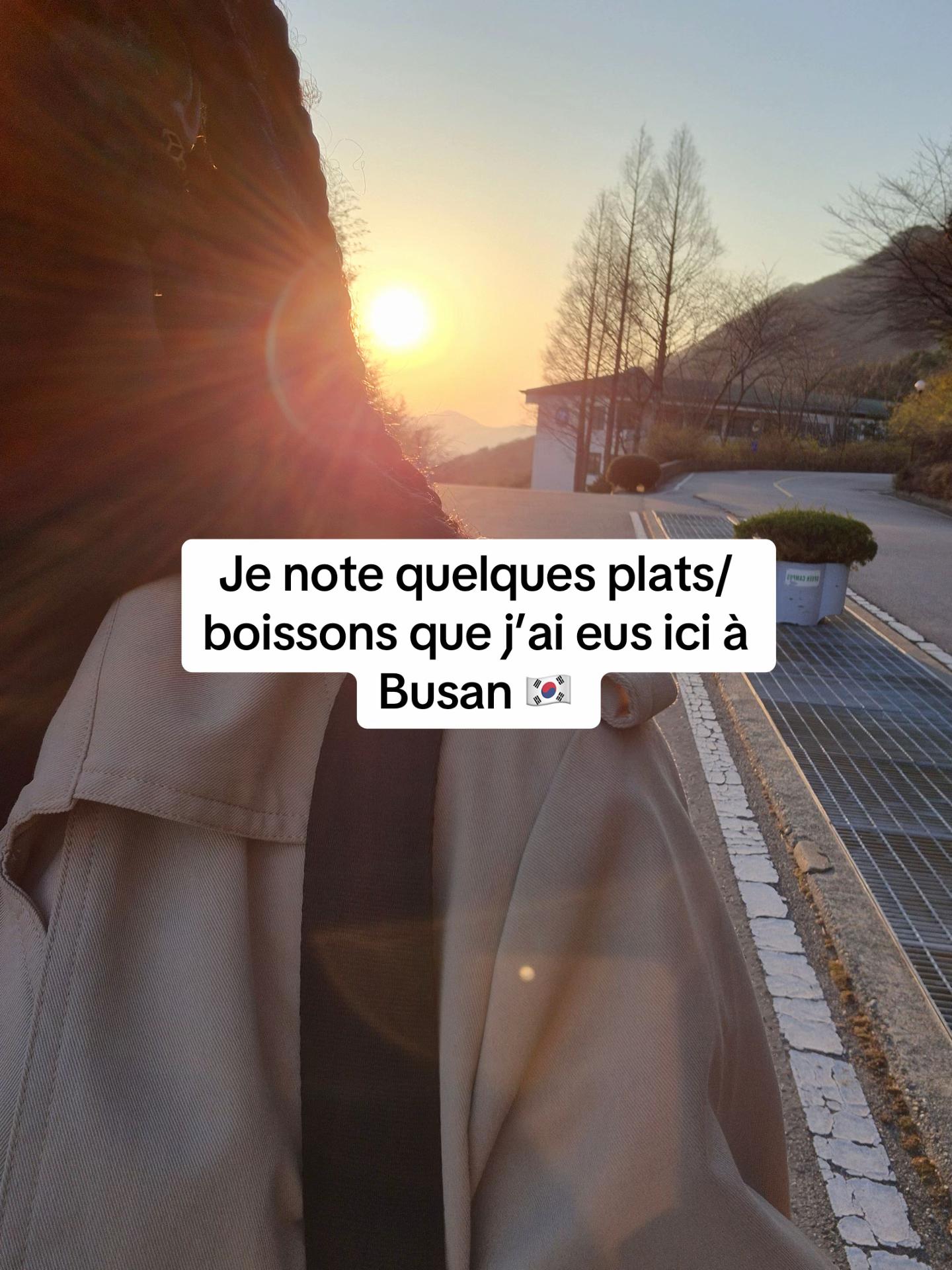 @이메 (Ime🌸) | Polyglot
