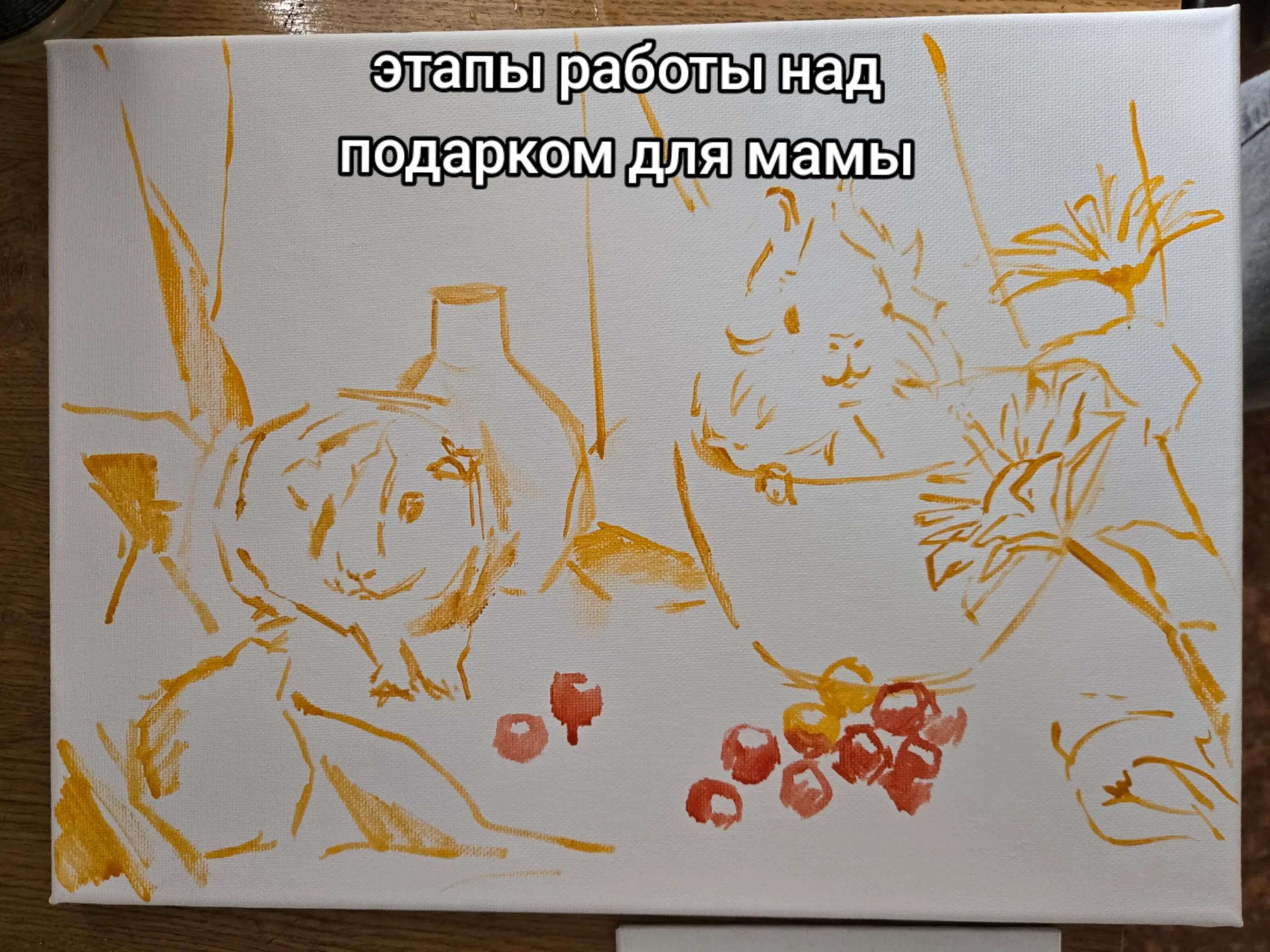 @nastya