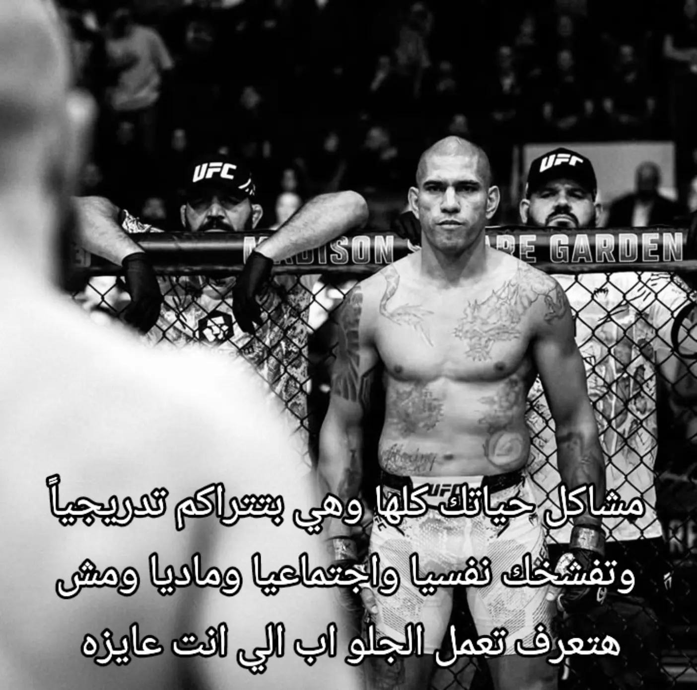@شوكه مطبخ