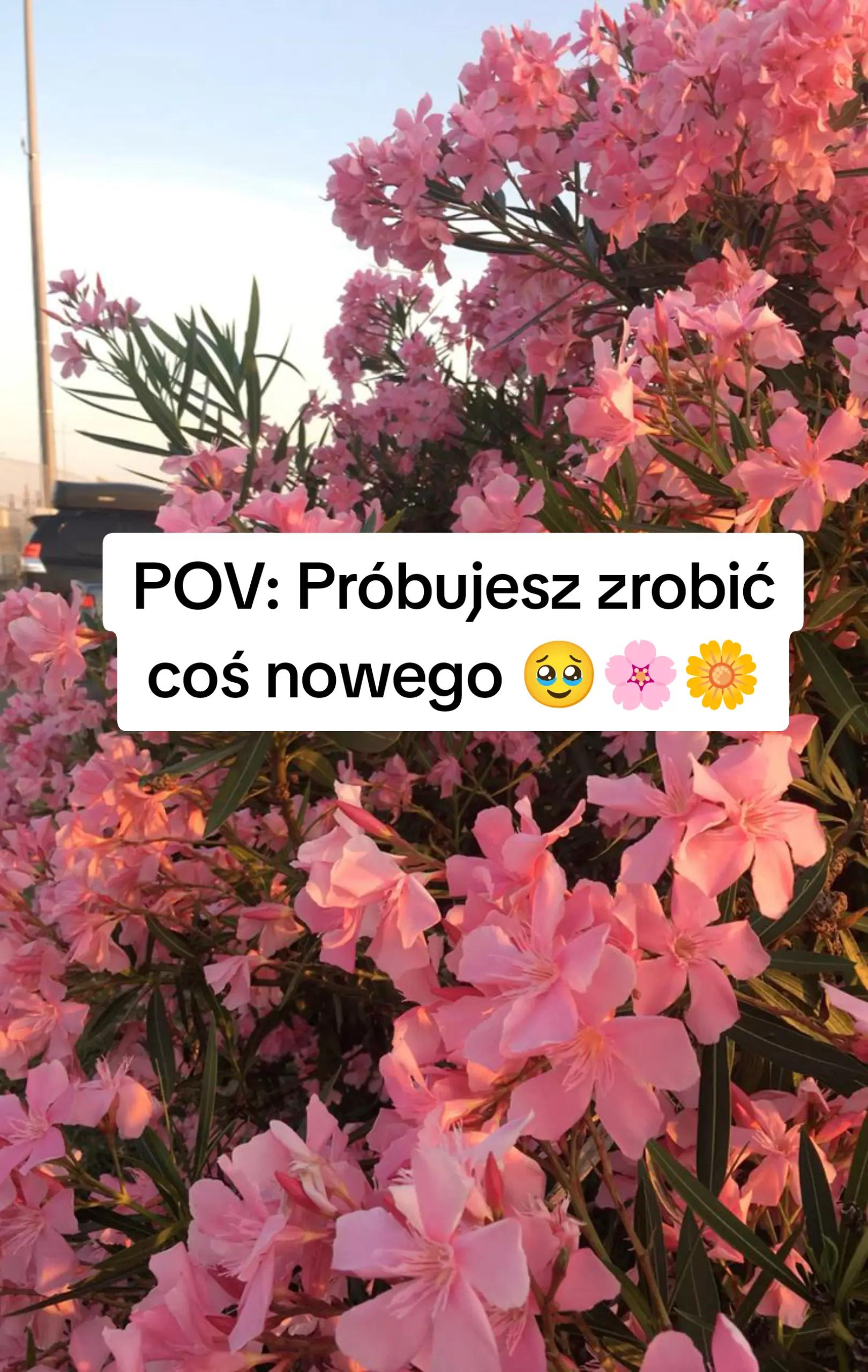 @KoraLOVE