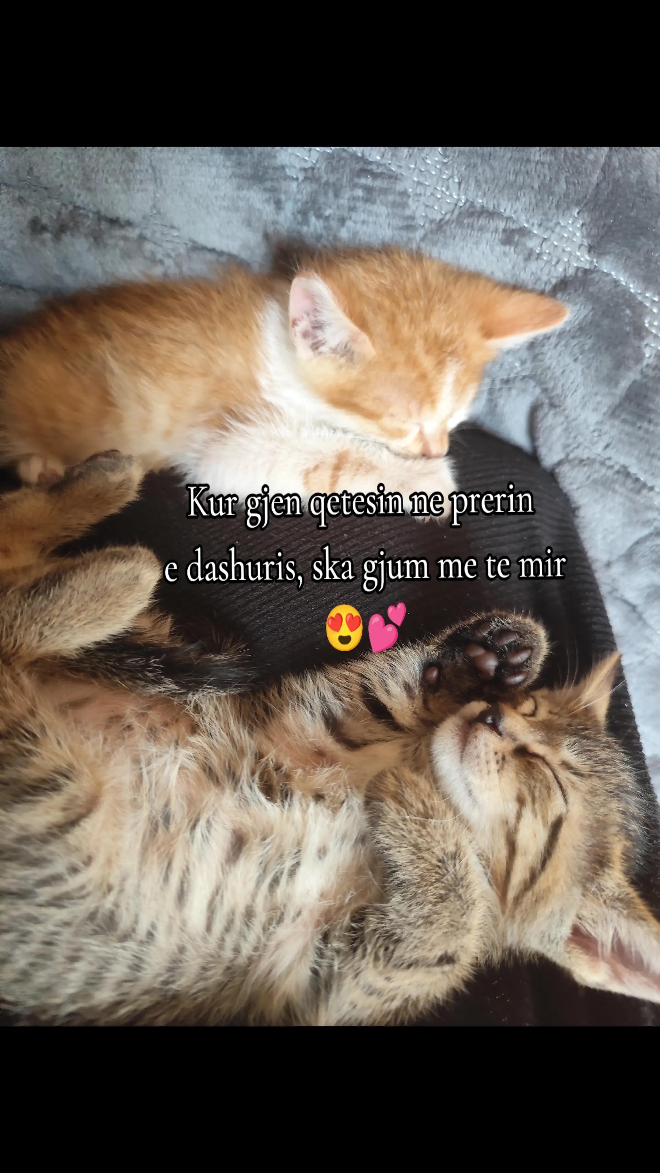@Xhilda🌹30
