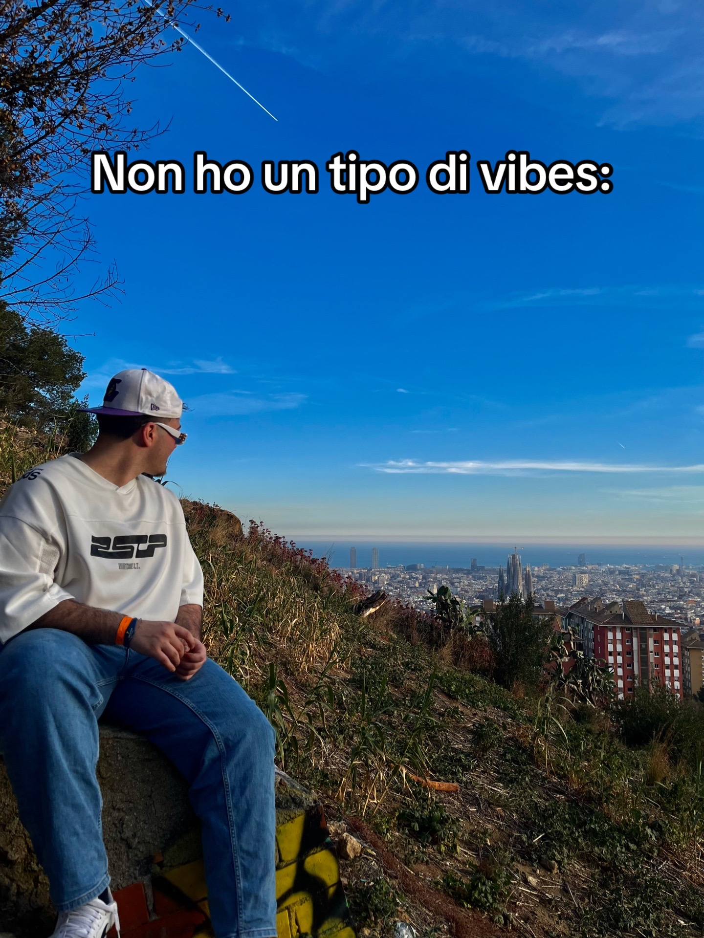 @Nicholas Paolacci