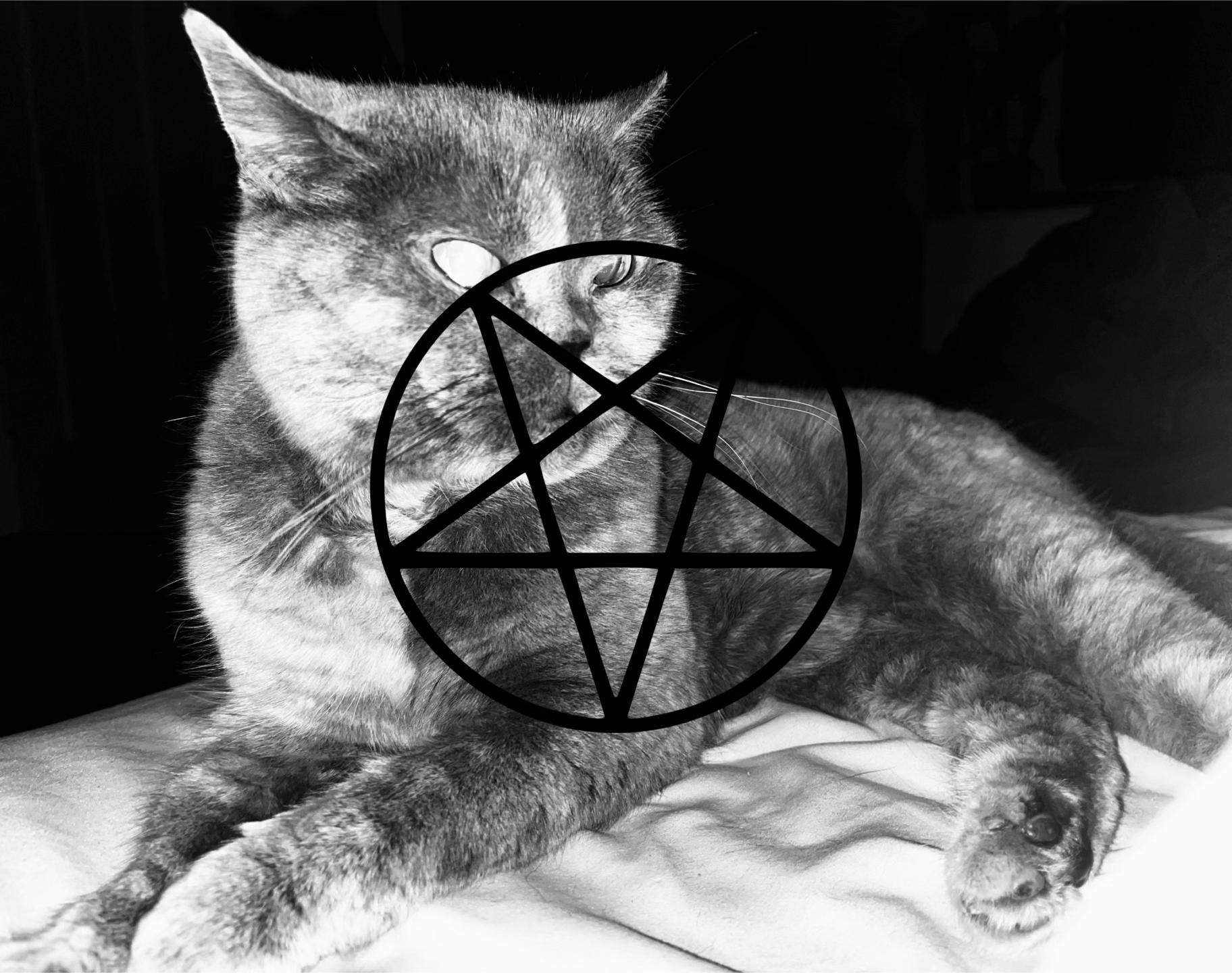 @⃟