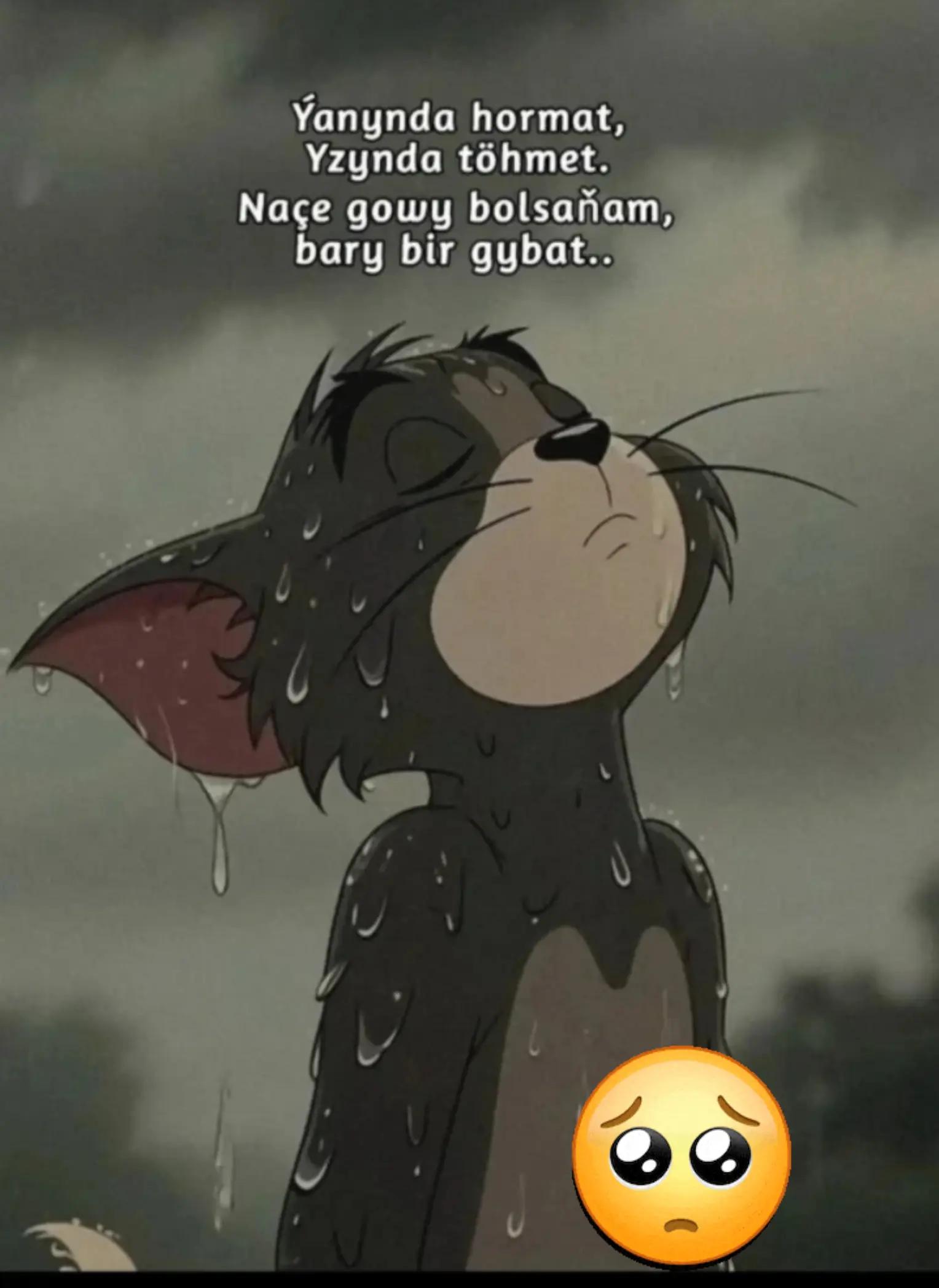 @🇹🇲 Leyla ♥️ E♥️🇹🇷777777777