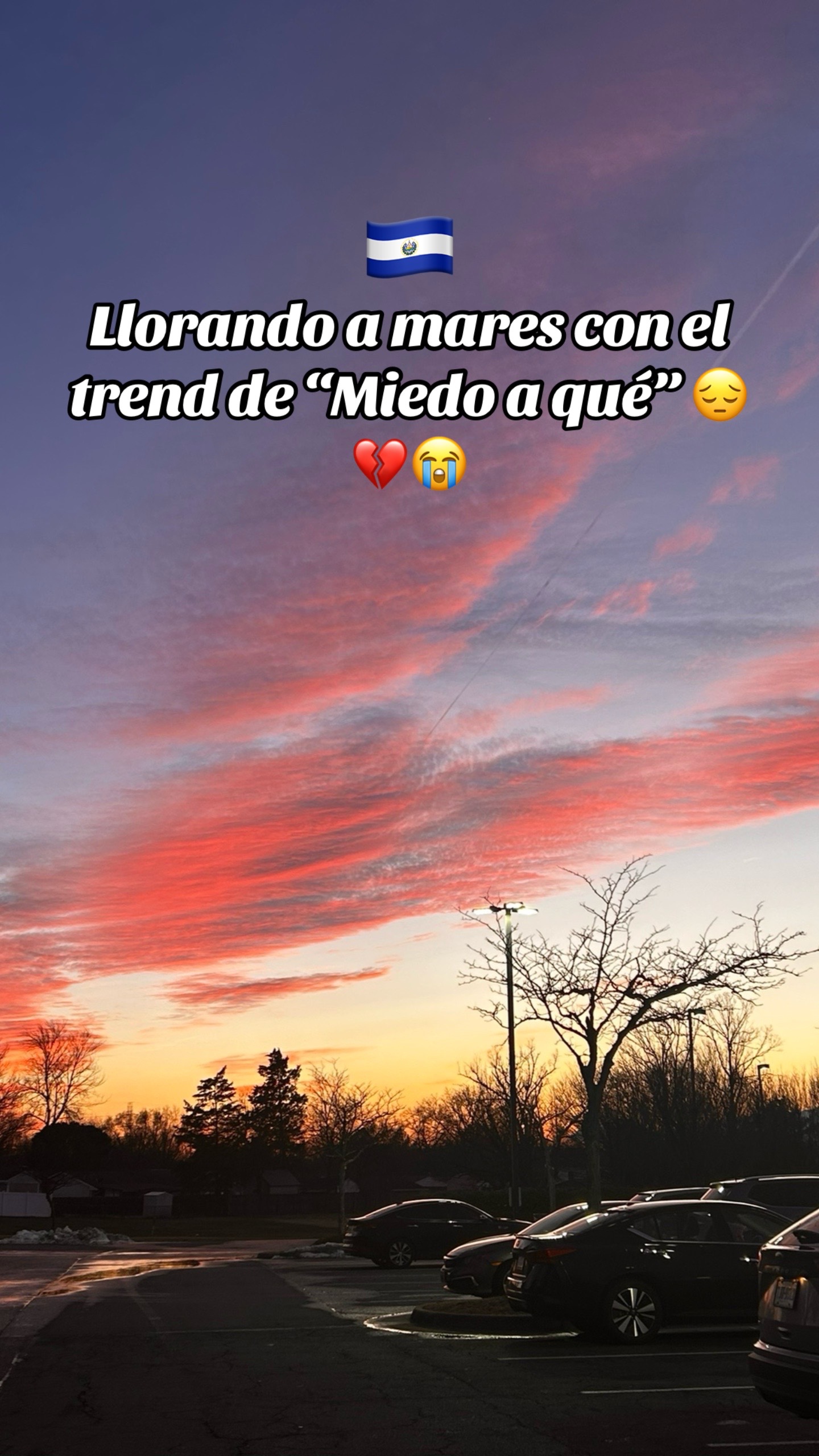 @plukitaa